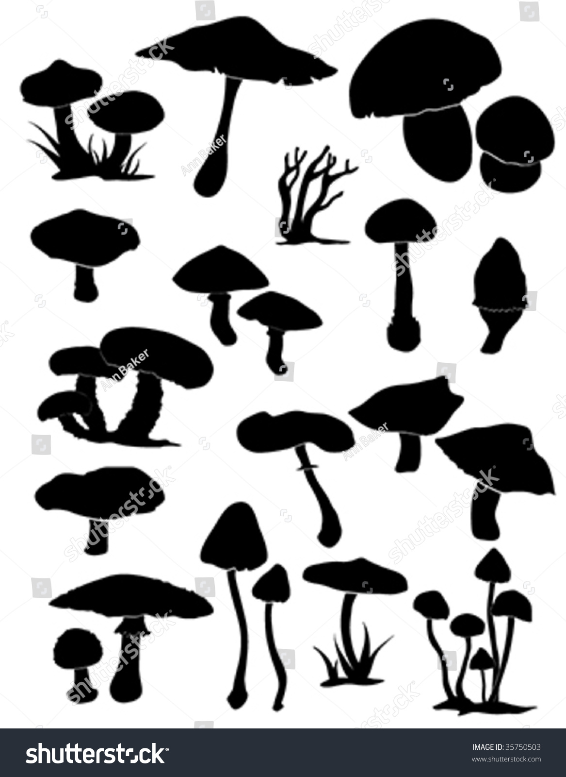 mushroom silhouette clip art - photo #27