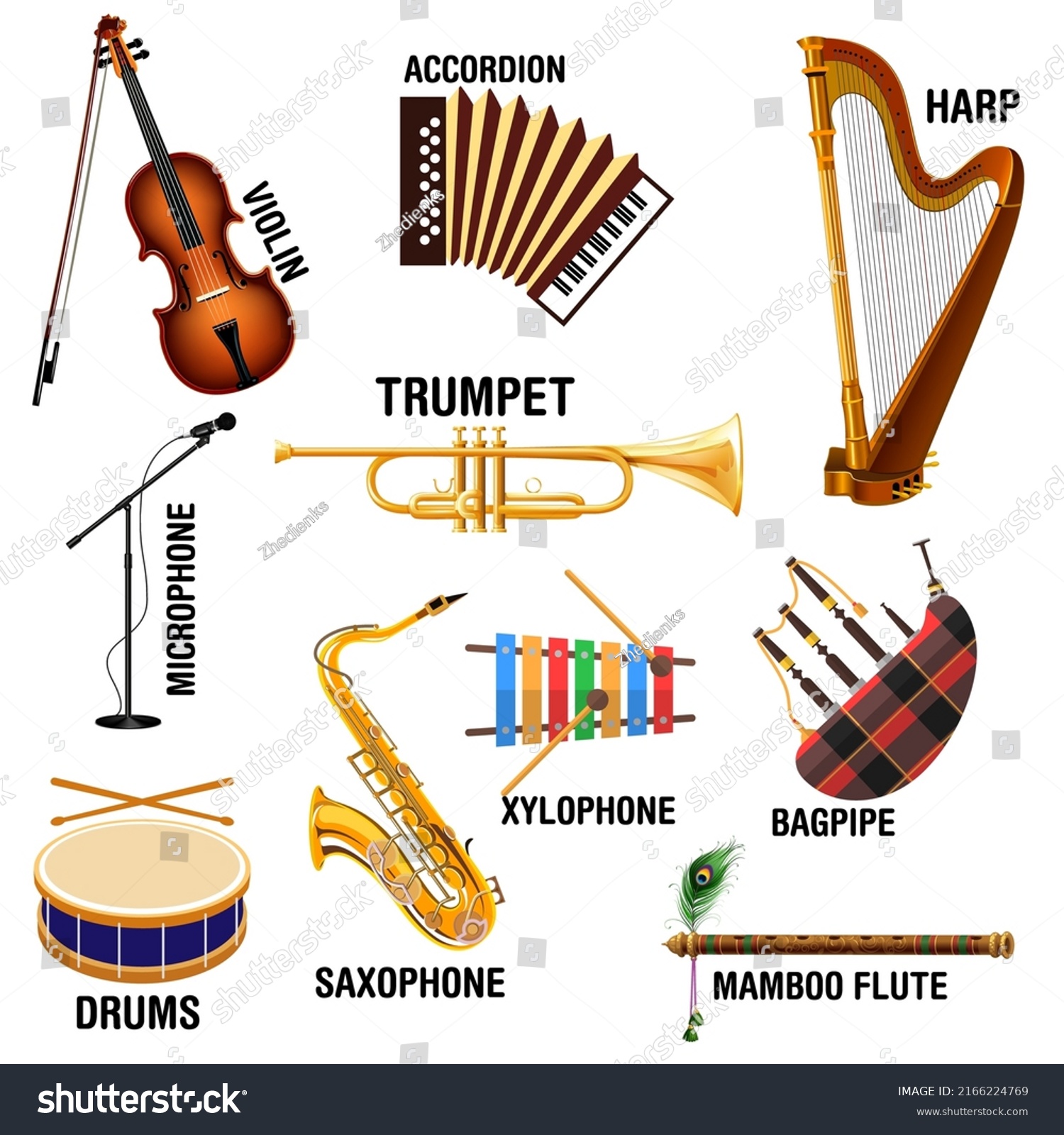 Musical Instrument Names Collection Illustrated Musical Stock Vector ...