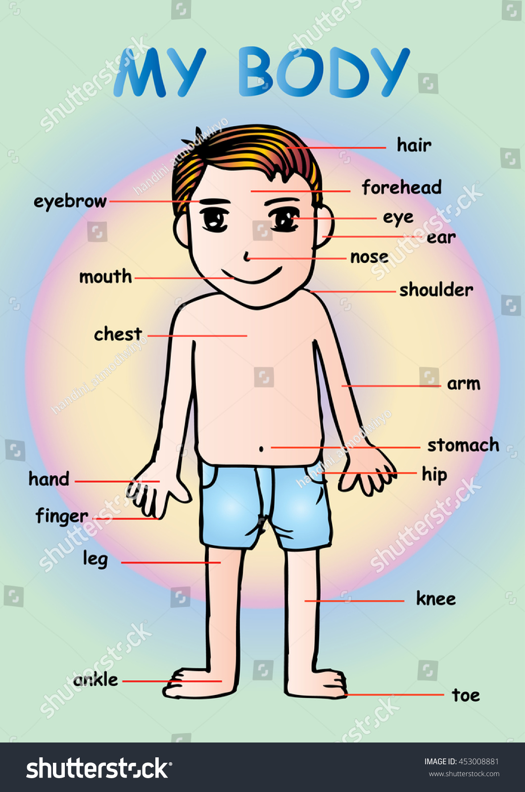 My Body Educational Info Graphic Chart Stock Vector 453008881 ...