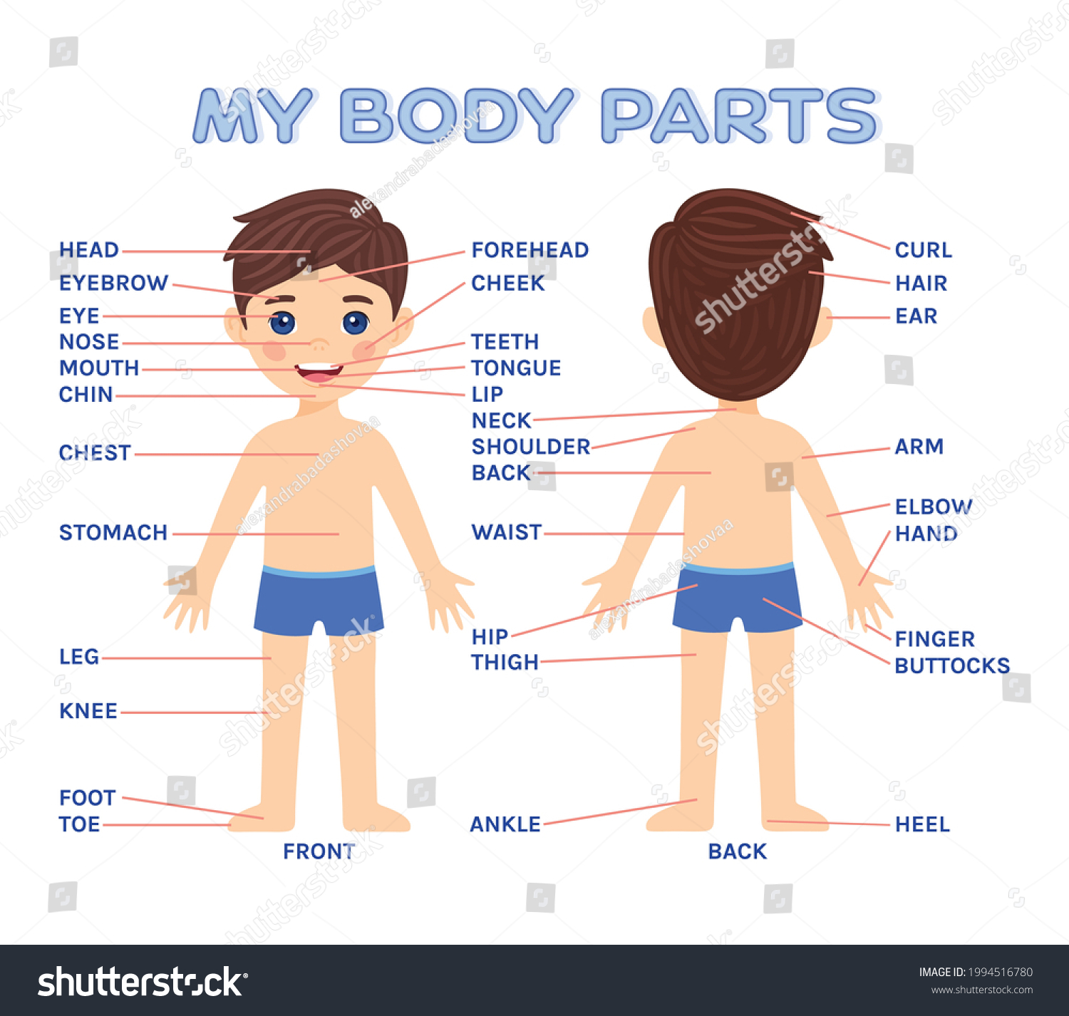 My Body Parts Pretty Boy Front Stock Vector (Royalty Free) 1994516780 ...