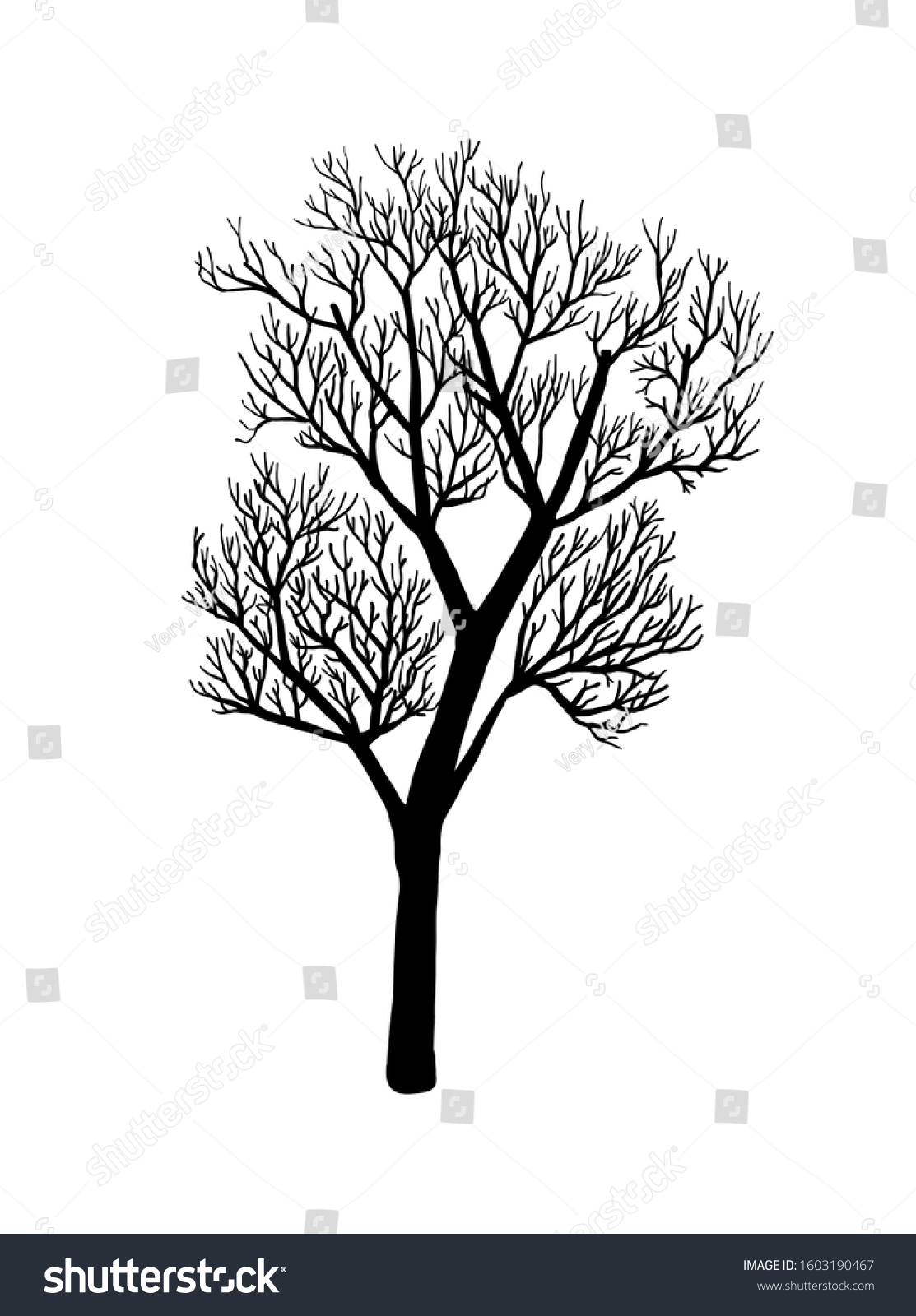 Naked Tree Silhouette Hand Drawn Vector Stock Vector Royalty Free