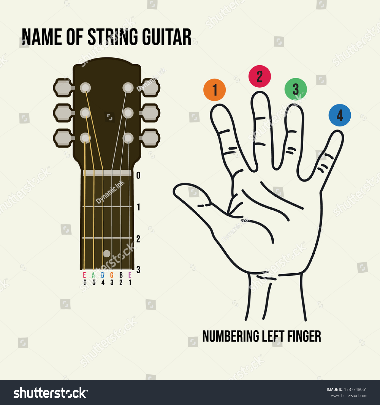 Name String Guitar Numbering Left Finger 库存矢量图（免版税）1737748061