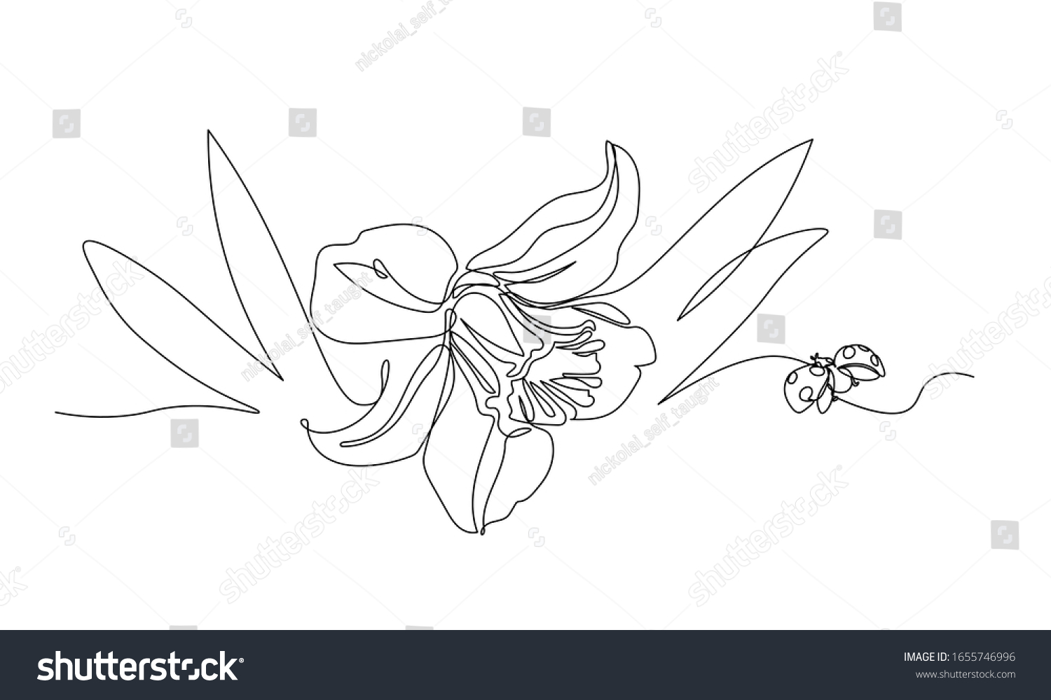 Narcissus Flower Ladybug Symbol Spring Youth Stock Vector (royalty Free 