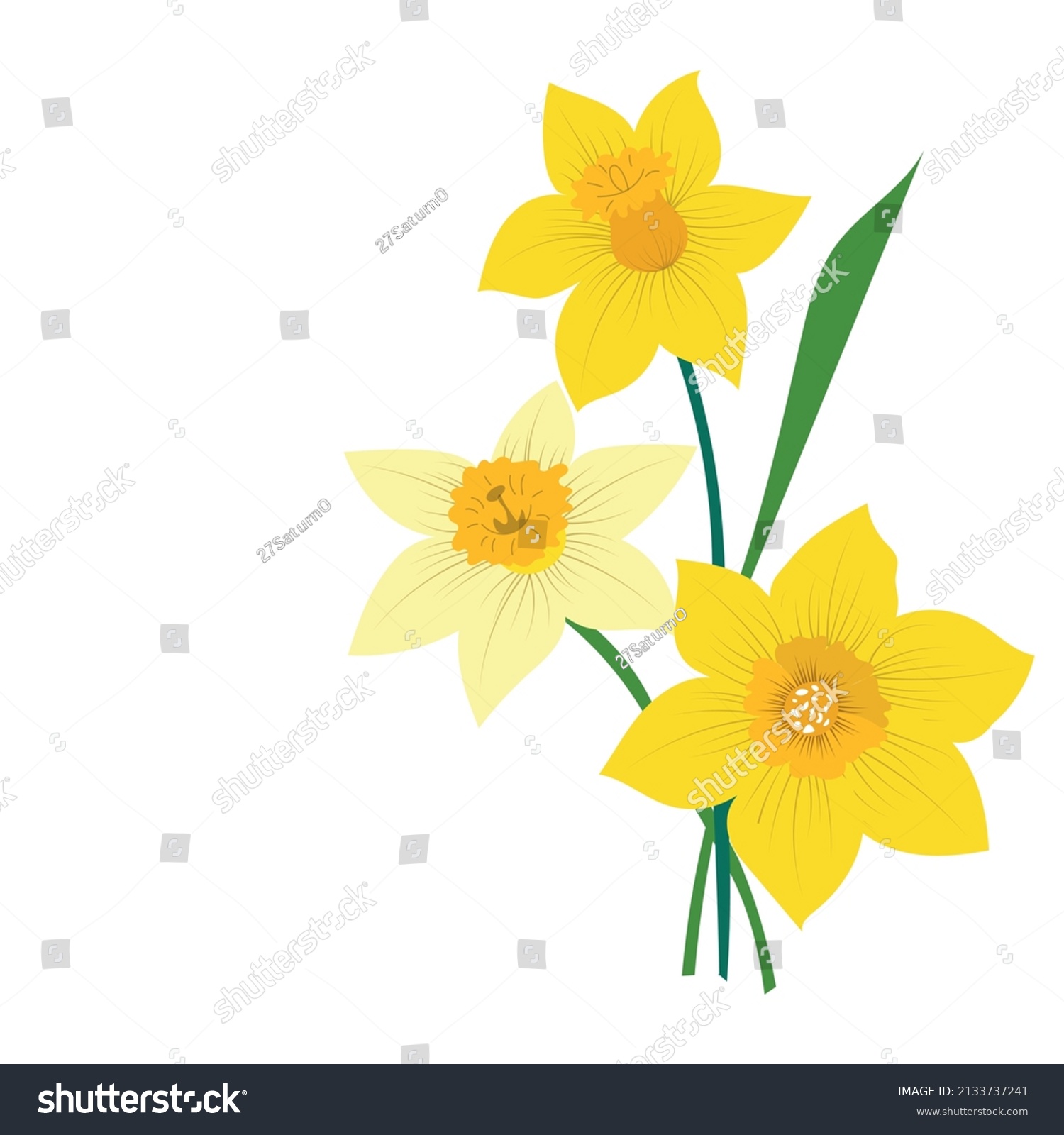 SVG of Narcissus flowers isolated on white background. Vector illustration. svg