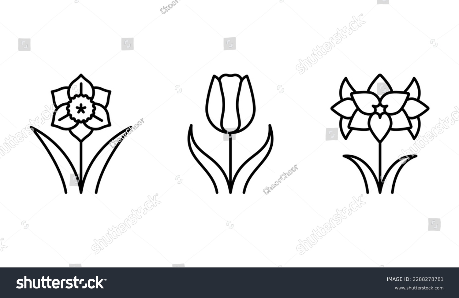 SVG of Narcissus, tulip, amaryllis - bulbous flowers set. Flowering decorative plants in minimalist style. Botanical icon set for a label, seed shop, supplements, extracts. Editable thin line svg
