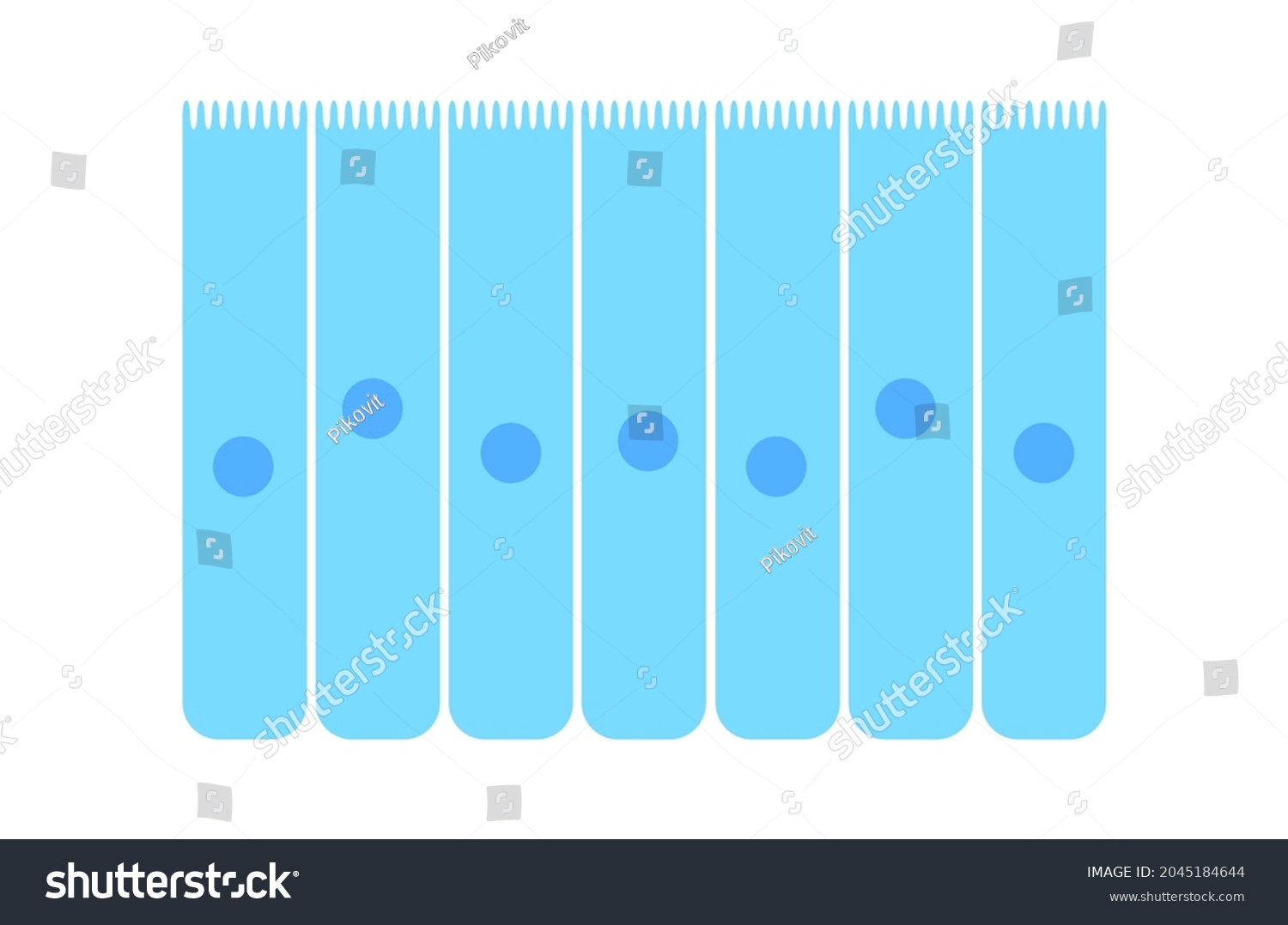 Nasal Mucosa Flat Vector Anatomical Icon Stock Vector (Royalty Free ...