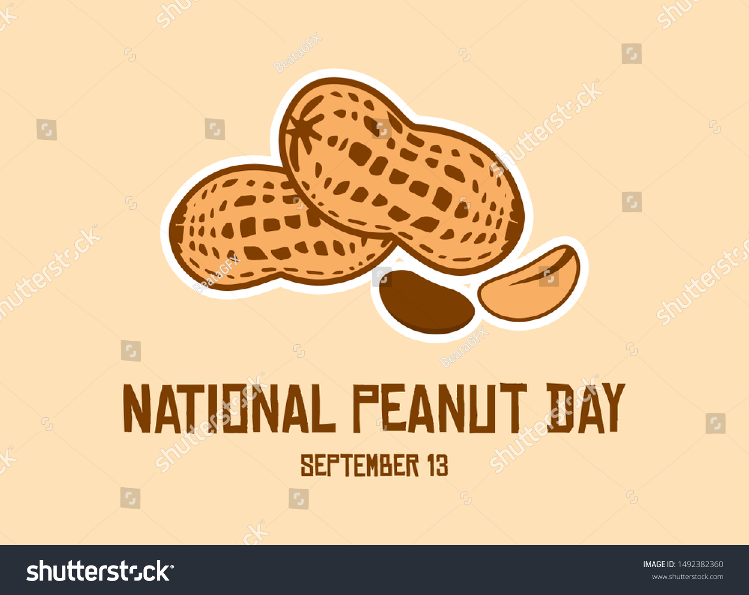 National Peanut Day Vector Peanut Vector Stock Vector (Royalty Free