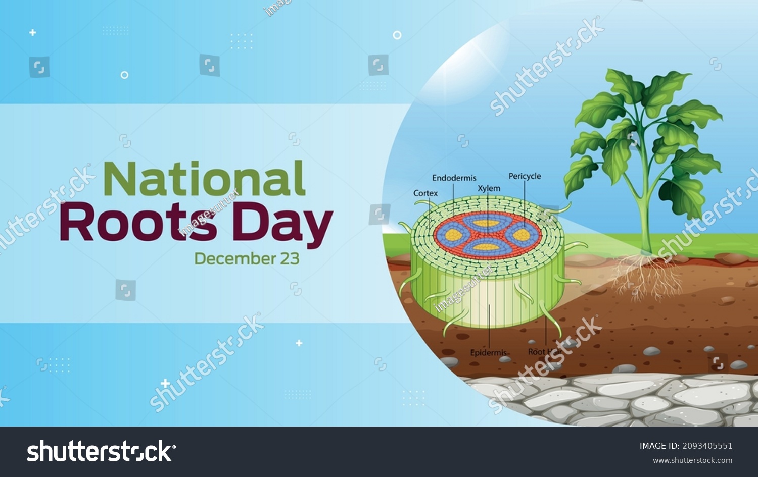 National Roots Day On December 23 Stock Vector Royalty Free 2093405551 Shutterstock 9734