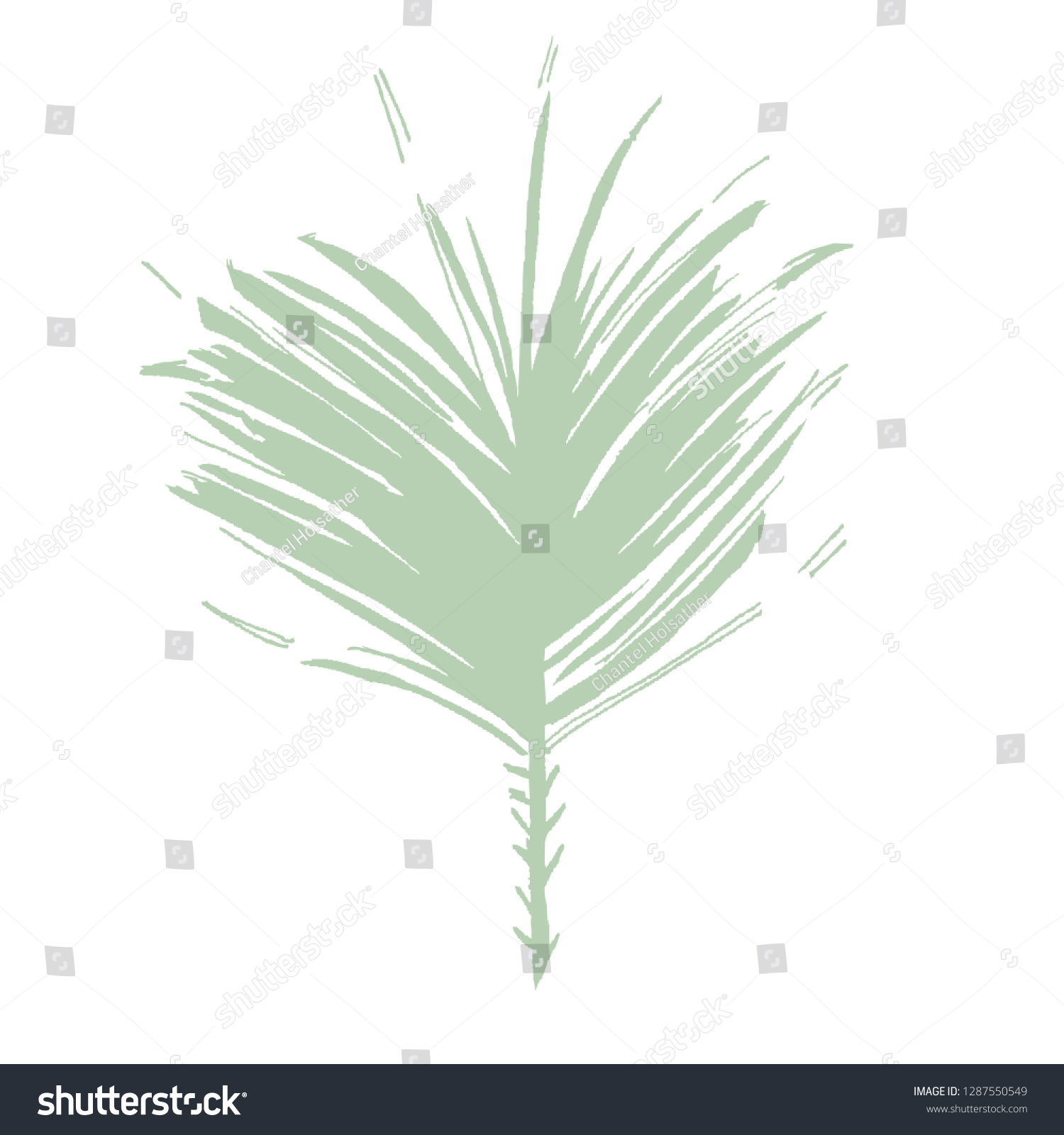 green leaf brushstroke on white background clip art preview