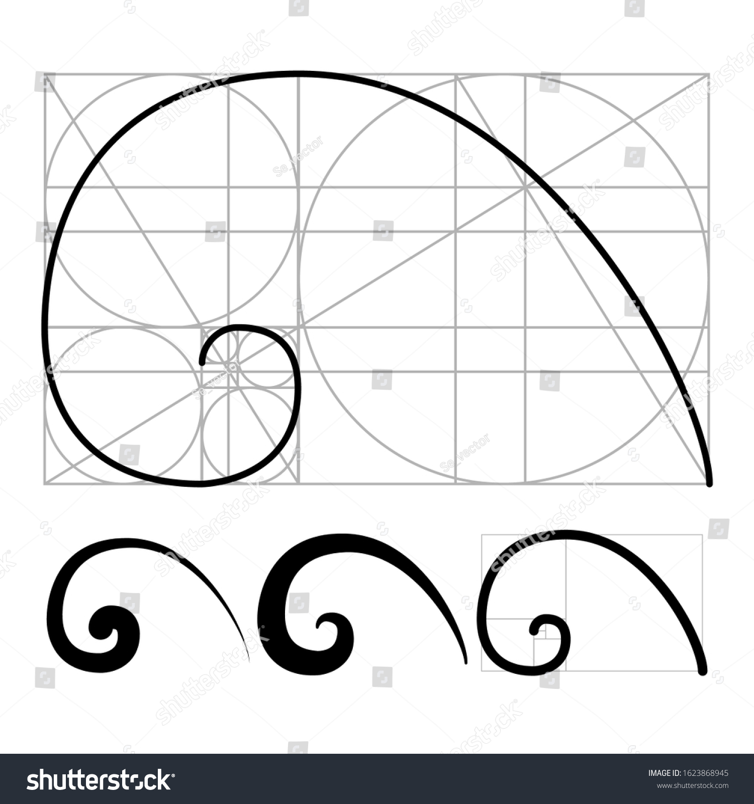 Nautilus Golden Ratio Geometric Spiral Set Stock Vector (Royalty Free ...