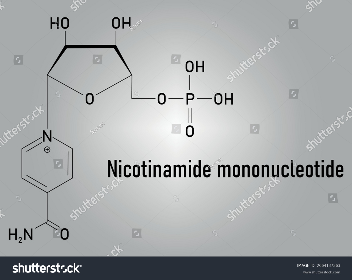 Nicotinamide Mononucleotide Molecule Precursor Nad Skeletal Stock Vector Royalty Free 2064137363