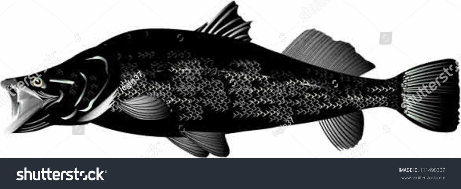 Nile Perch Silhouette Stock Vector Royalty Free