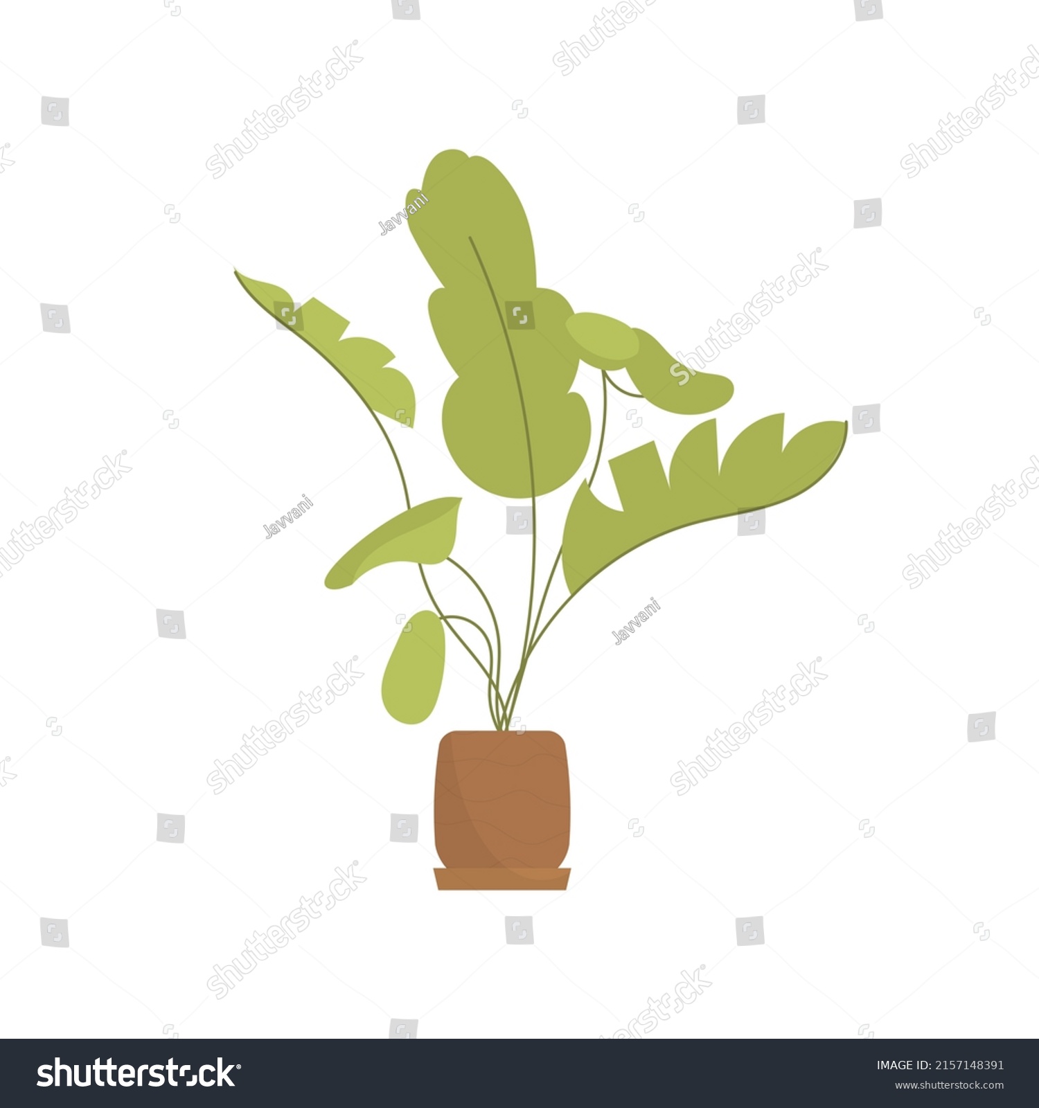 Nonflowering Plants Pots Isolated Flat Style Stock Vector Royalty Free nonflowering-plants-pots-isolated-flat-style-stock-vector-royalty-free