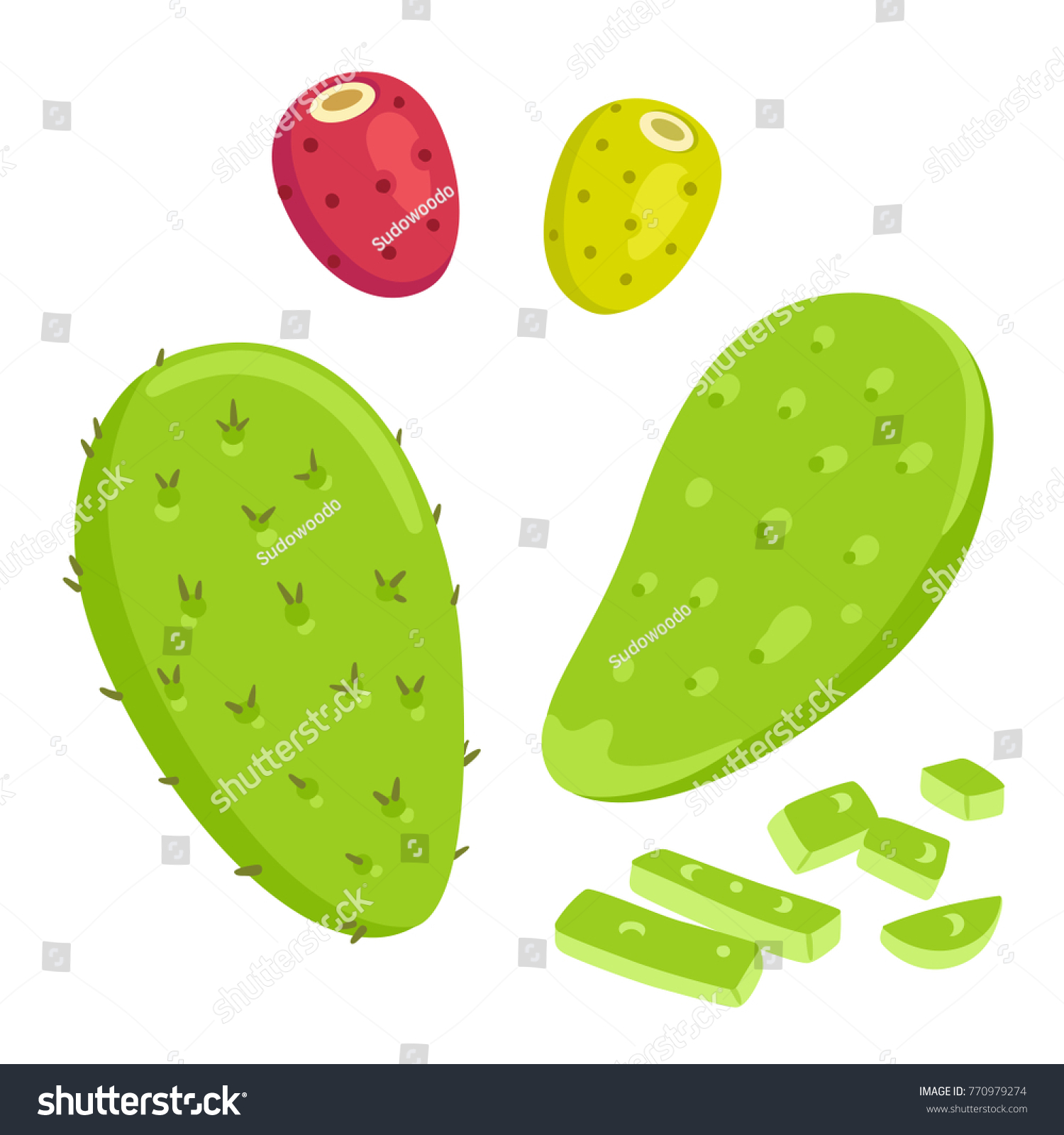 nopal cactus paddle peeled cut prickly stock vector royalty free 770979274 https www shutterstock com image vector nopal cactus paddle peeled cut prickly 770979274