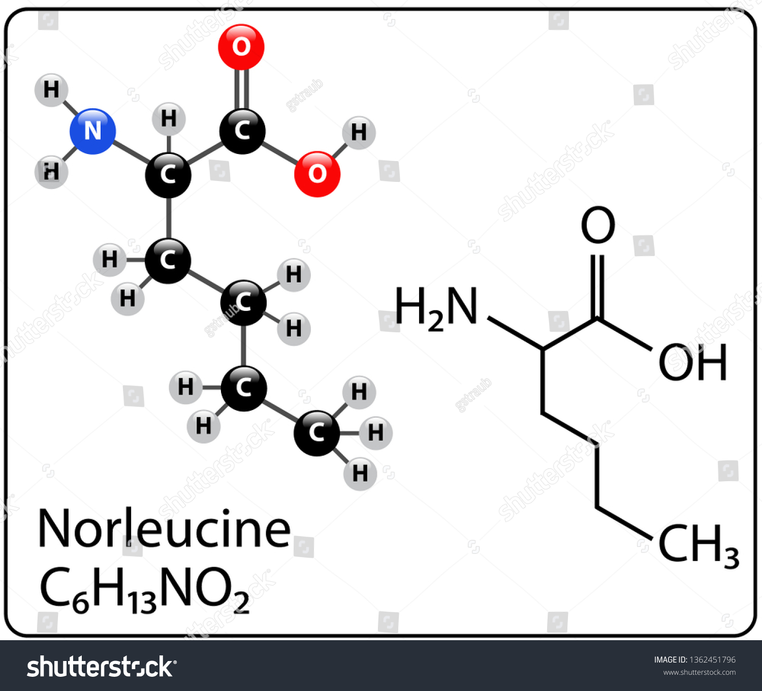 Norleucine Molecule Structure Stock Vector (royalty Free) 1362451796 