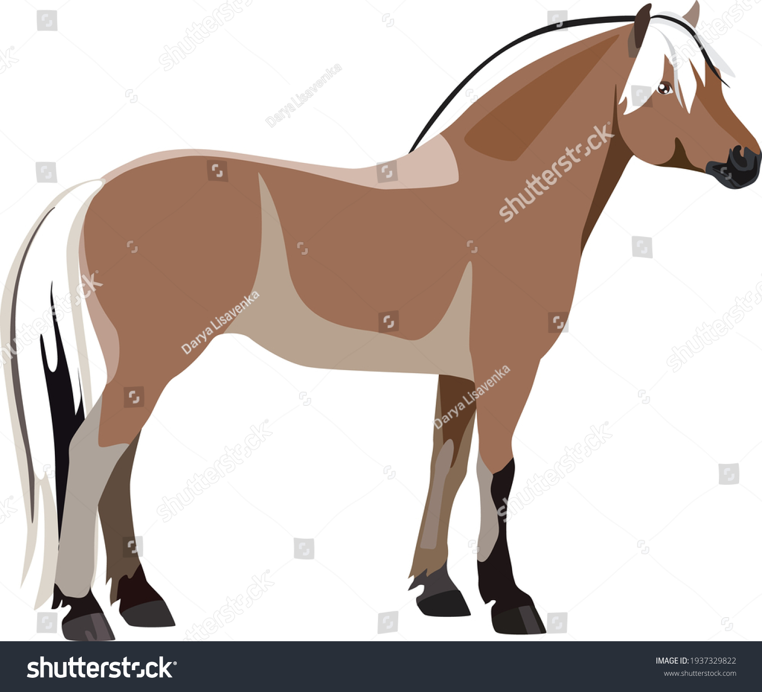 Norwegian Fjord Horse Vector Illustration Stock Vector (Royalty Free ...