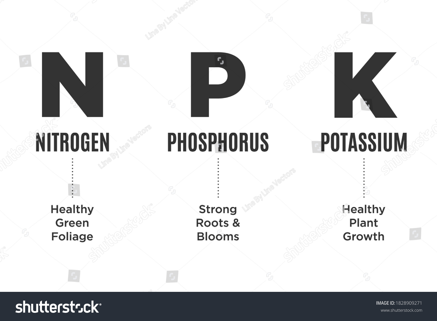 NPK, Gráfica De Fertilizantes Jardín, Nitrógeno, vector de stock