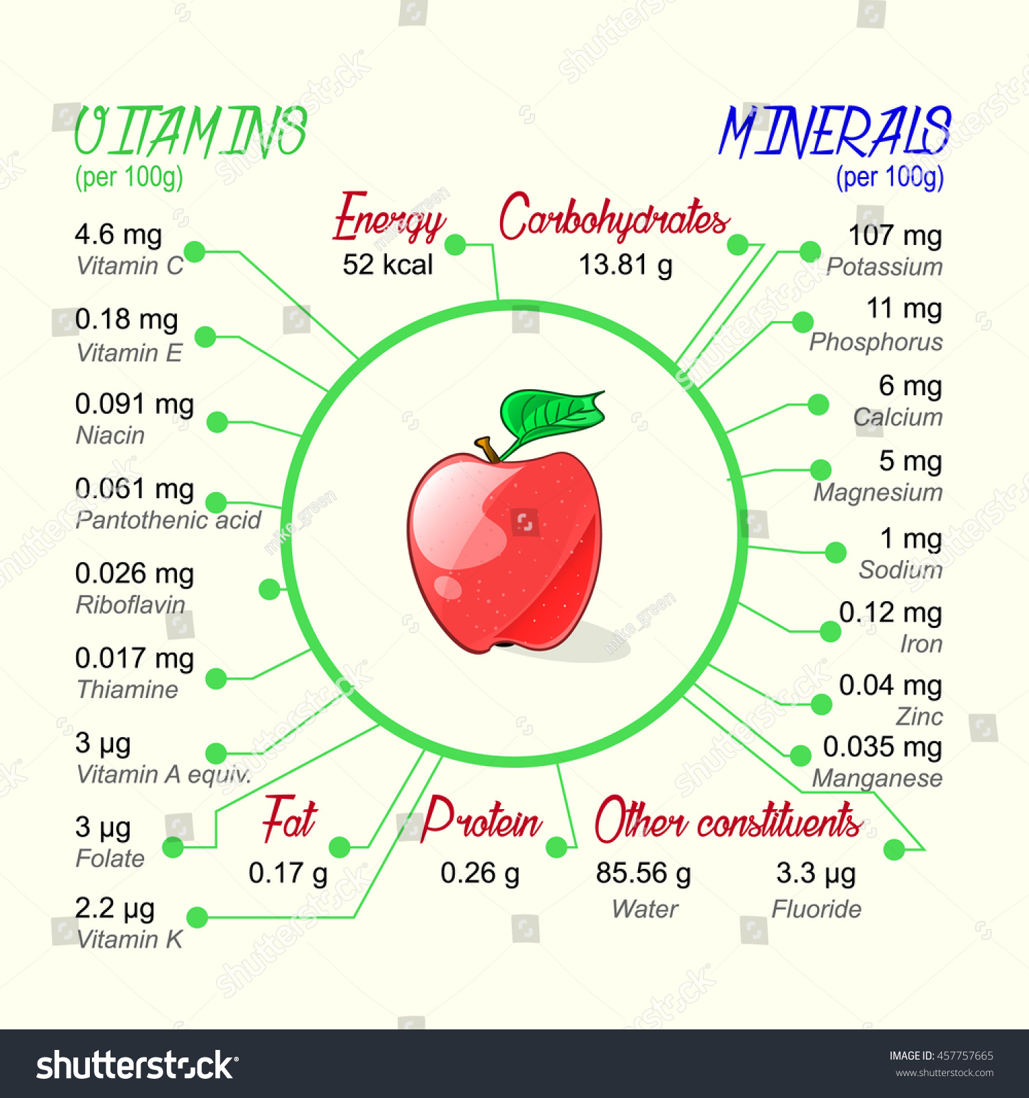 Nutritional Value Apple Vector Infographic Elements Stock Vector