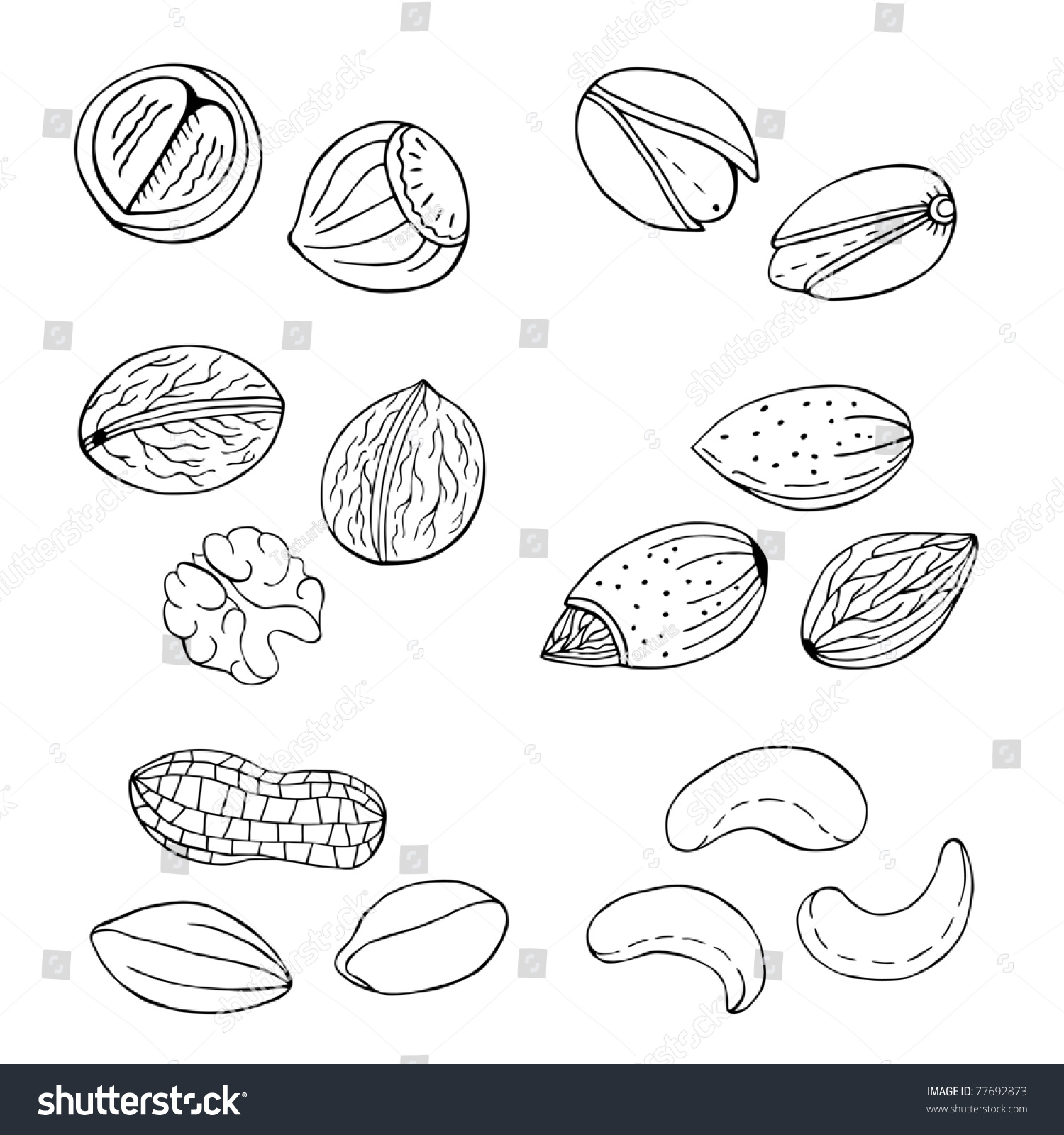 Nuts Collection Stock Vector (Royalty Free) 77692873