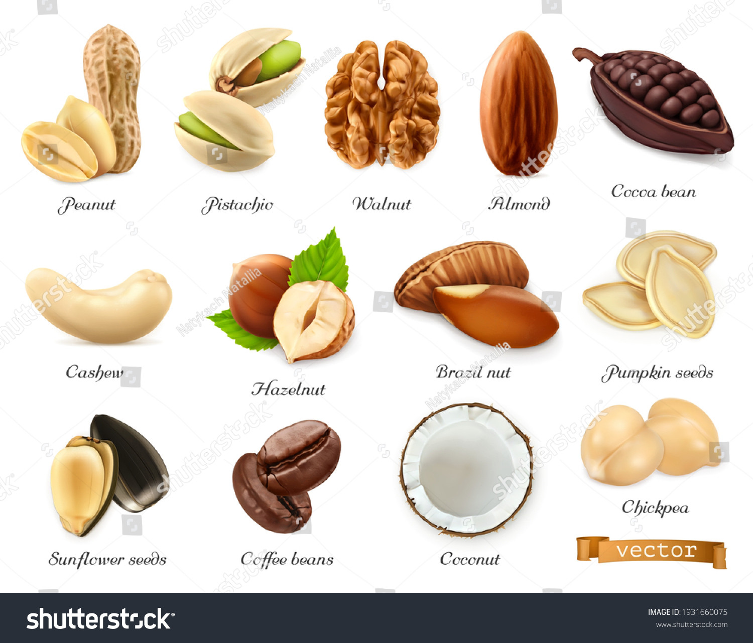 SVG of Nuts, seeds and beans 3d vector realistic objects set. Peanut, pistachio, walnut, almond, cocoa bean, cashew, hazelnut, brazil nut, pumpkin seeds, sunflower seeds, coffee, coconut, chickpea svg