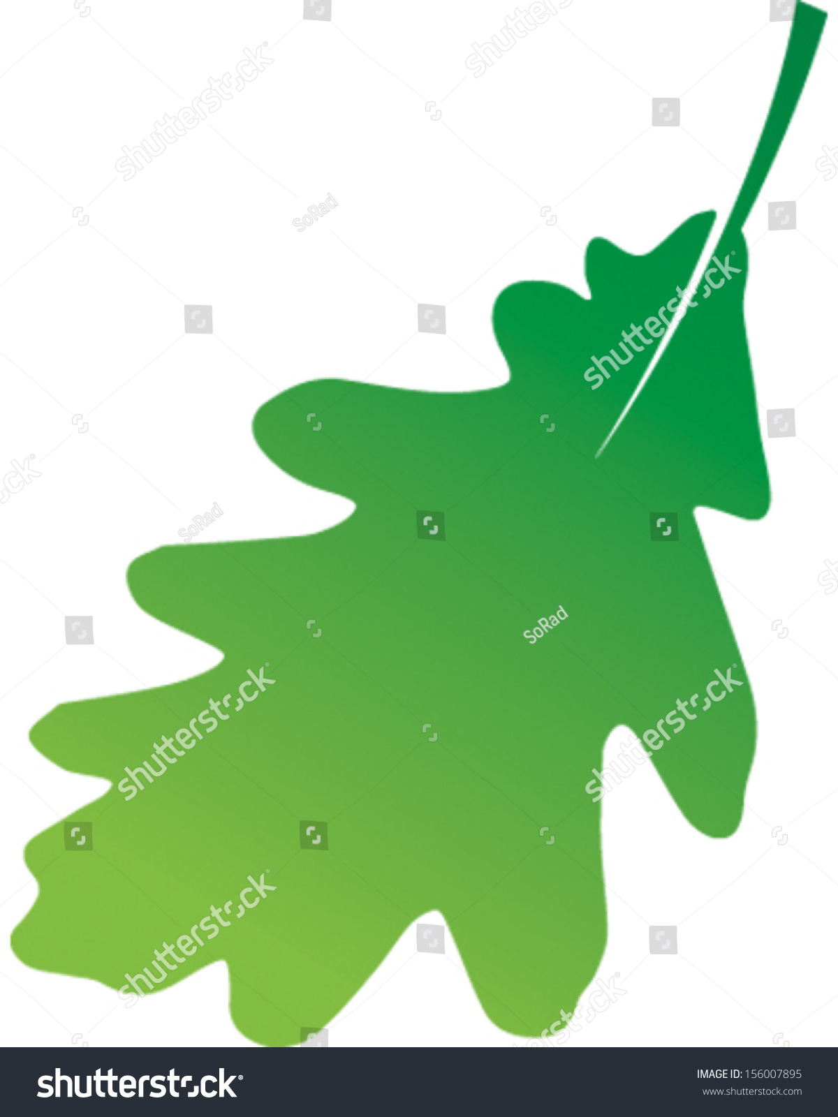 Oak Leaf Stock Vector Illustration 156007895 : Shutterstock