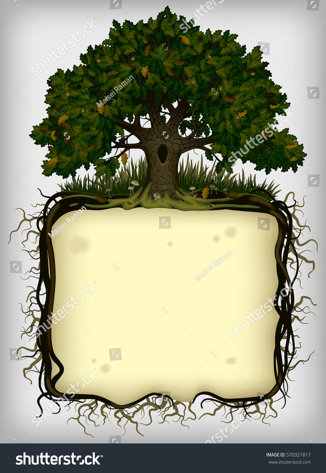 Oak Tree Roots Frame Vintage Artistic Stock Vector 570321817 Shutterstock Vintage Family Frames Tree Stock Image Image 32018791
