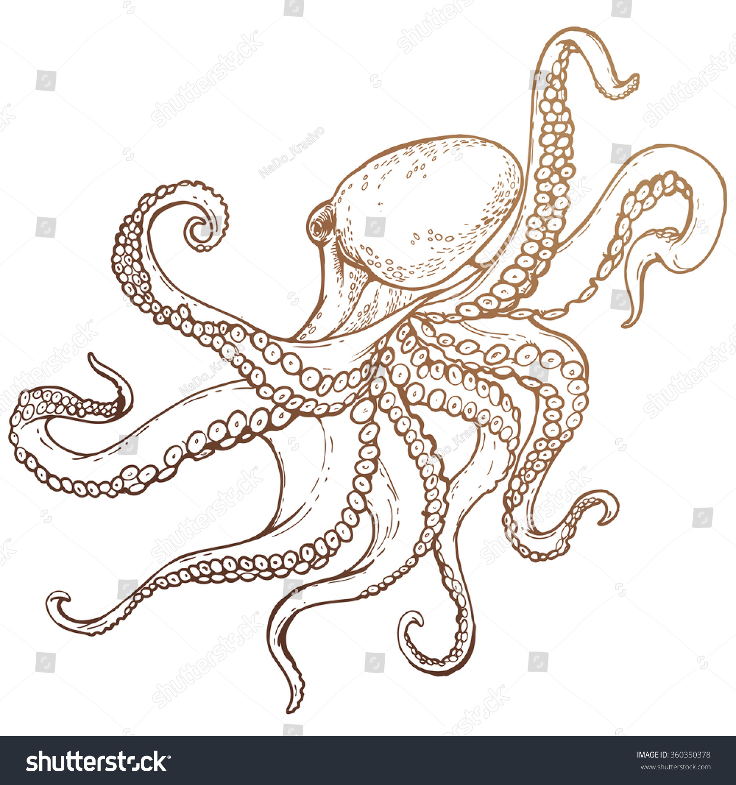 Octopus Sketch Hand Drawn Illustration Stock Vector (Royalty Free ...