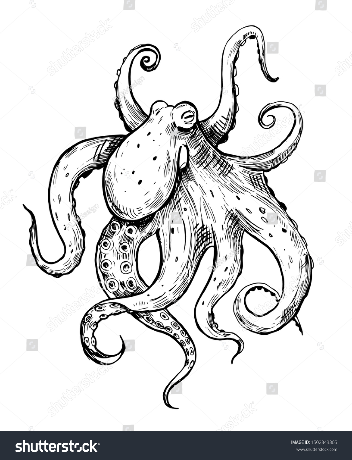 Octopus Sketch Hand Drawn Outline Converted Stock Vector (Royalty Free ...