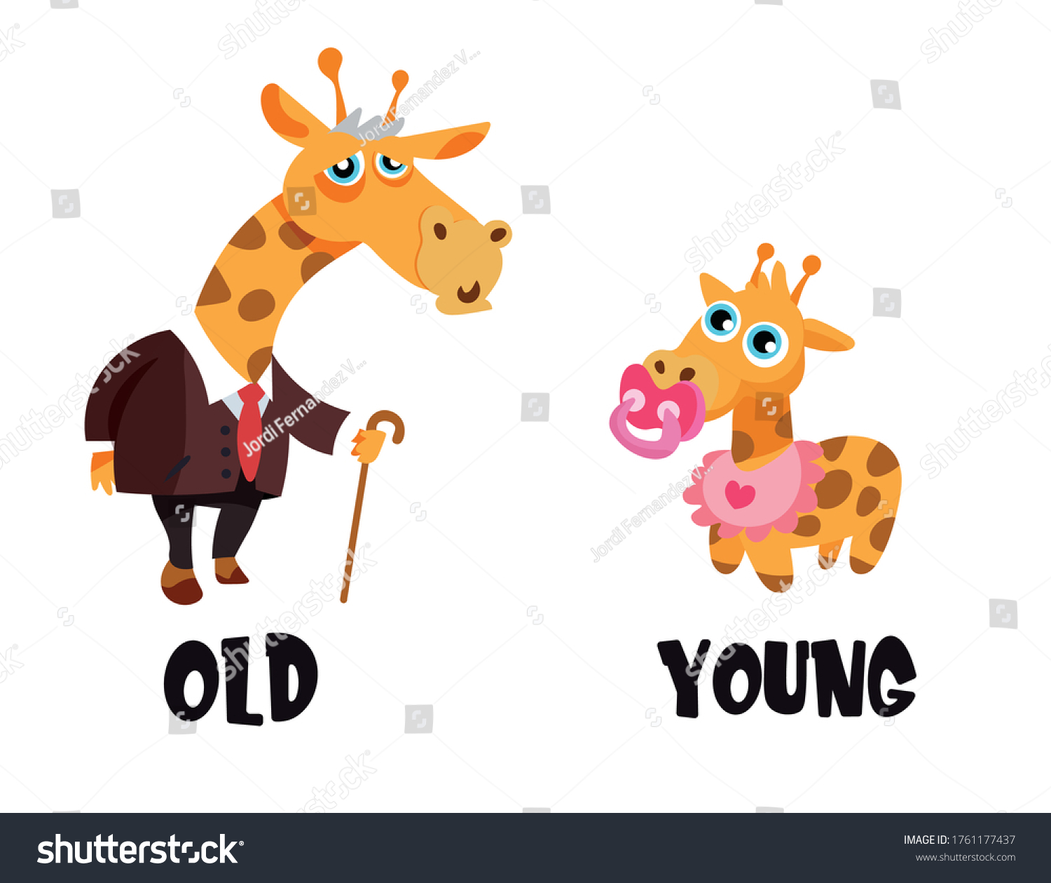 old-young-opposite-adjectives-illustration-flash-vetor-stock-livre-de-direitos-1761177437