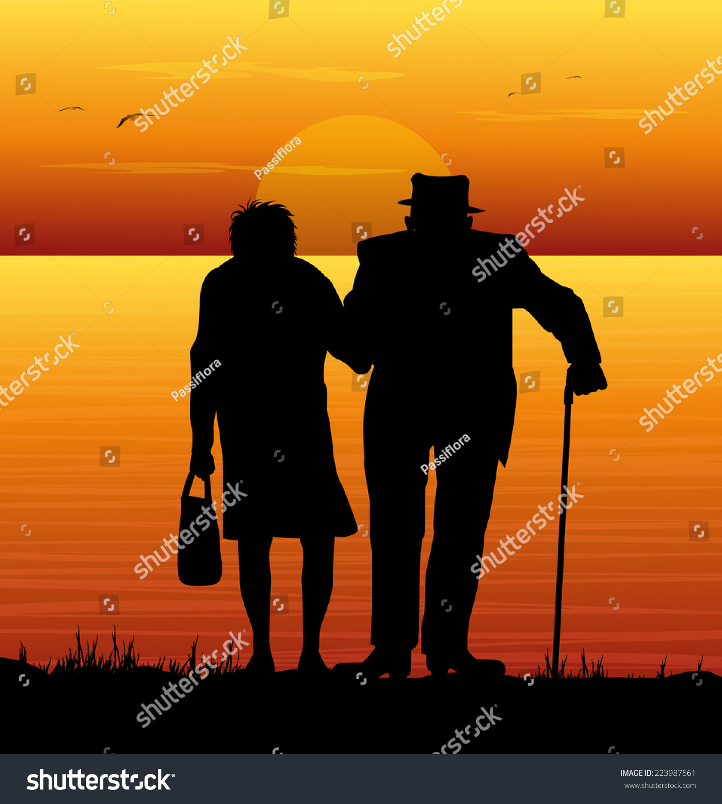 Old Couple Watching The Sea Stock Vector Illustration 223987561 ...