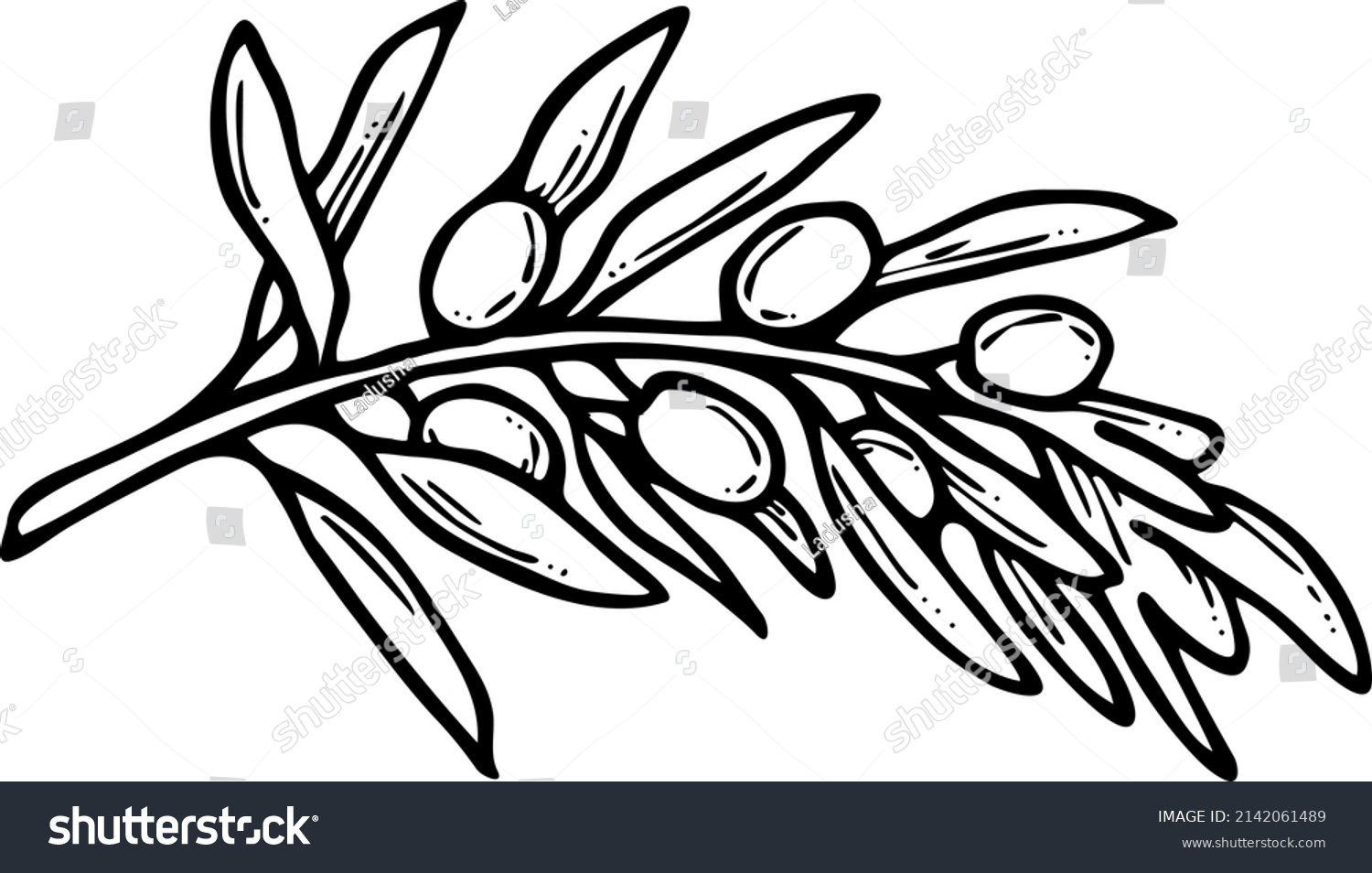 Olive Branch Green Leaves Olives Oil Stock Vector Royalty Free 2142061489 Shutterstock 
