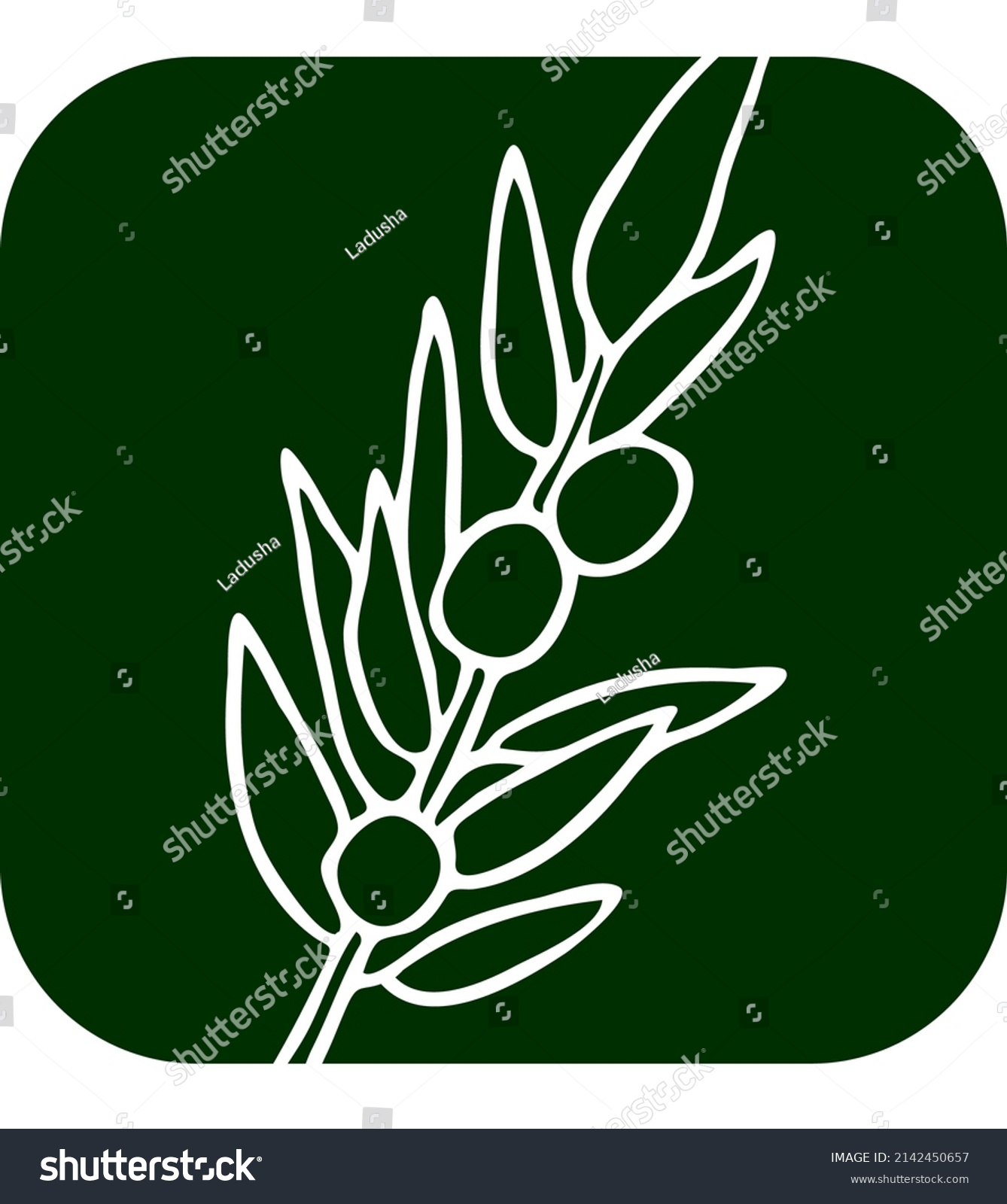 Olive Branch Green Leaves Olives Oil Stock Vector Royalty Free 2142450657 Shutterstock 