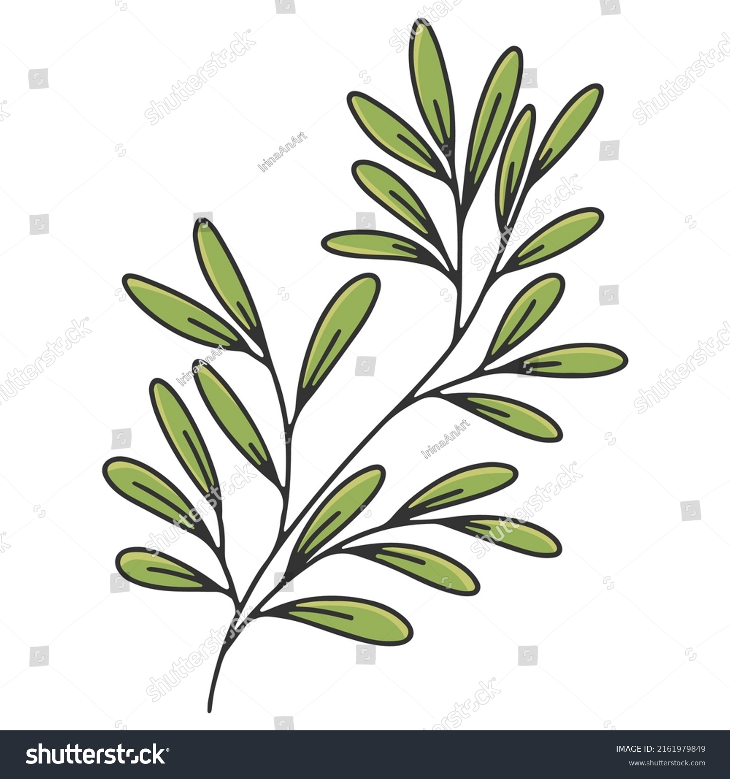 Olive Branch Leaves Olive Oil Label Stock Vector Royalty Free 2161979849 Shutterstock 