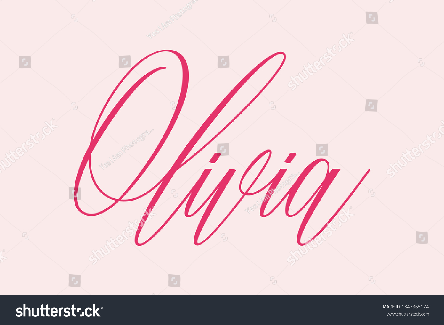 Olivia Female Name Cursive Calligraphy Text Stock Vector Royalty Free