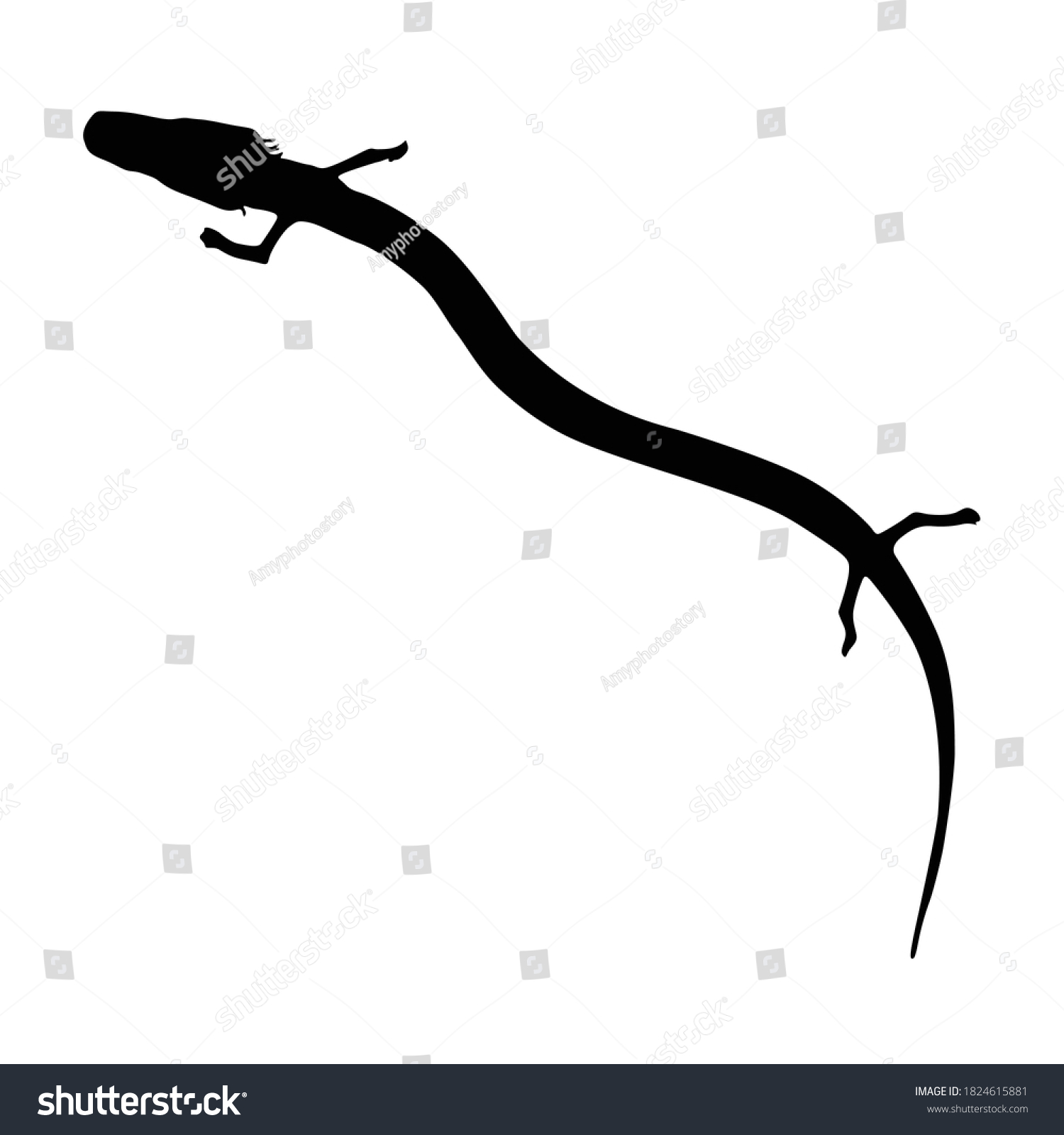 SVG of Olm (Proteus Anguinus) Swimming On a Upper View Silhouette Found In Map Of Europe. Good To Use For Element Print Book, Animal Book and Animal Content svg