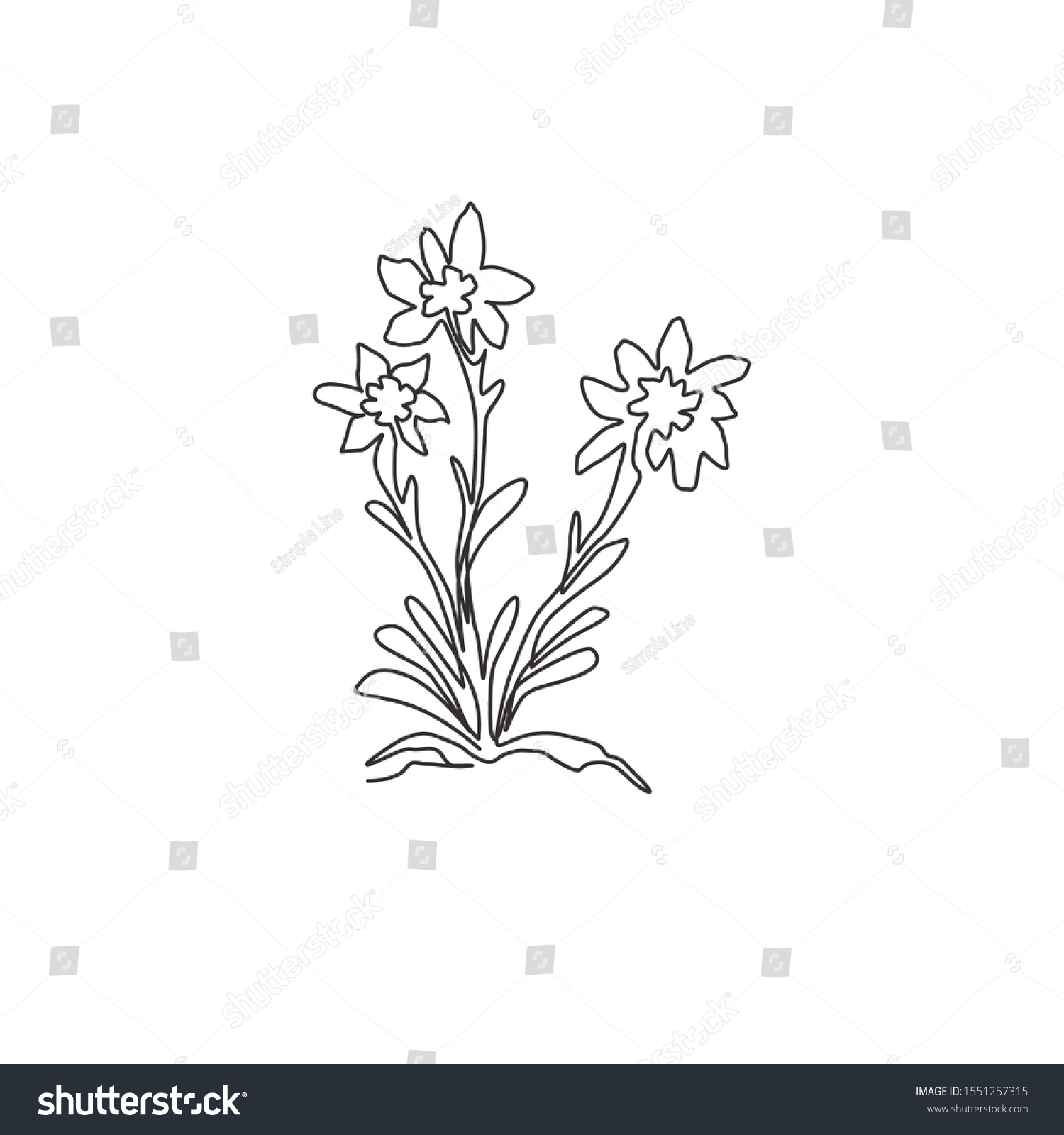 Featured image of post Simple Edelweiss Flower Drawing About 2 of these are decorative flowers wreaths 0 are resin crafts