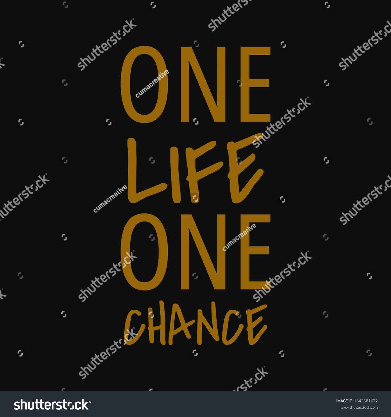 Chance In Life Quotes One Life One Chance Quotes About Stock Vector (Royalty Free) 1643581672 |  Shutterstock