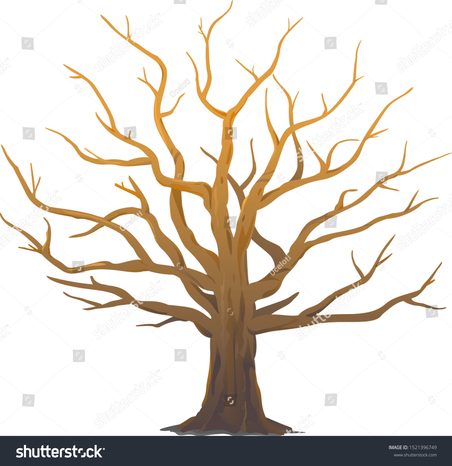 大きな大きな大きな古いオークの木の葉のないイラスト 木のない 木のない 木の粗い幹と大きな冠のある荘厳なオークの木 のベクター画像素材 ロイヤリティ フリー