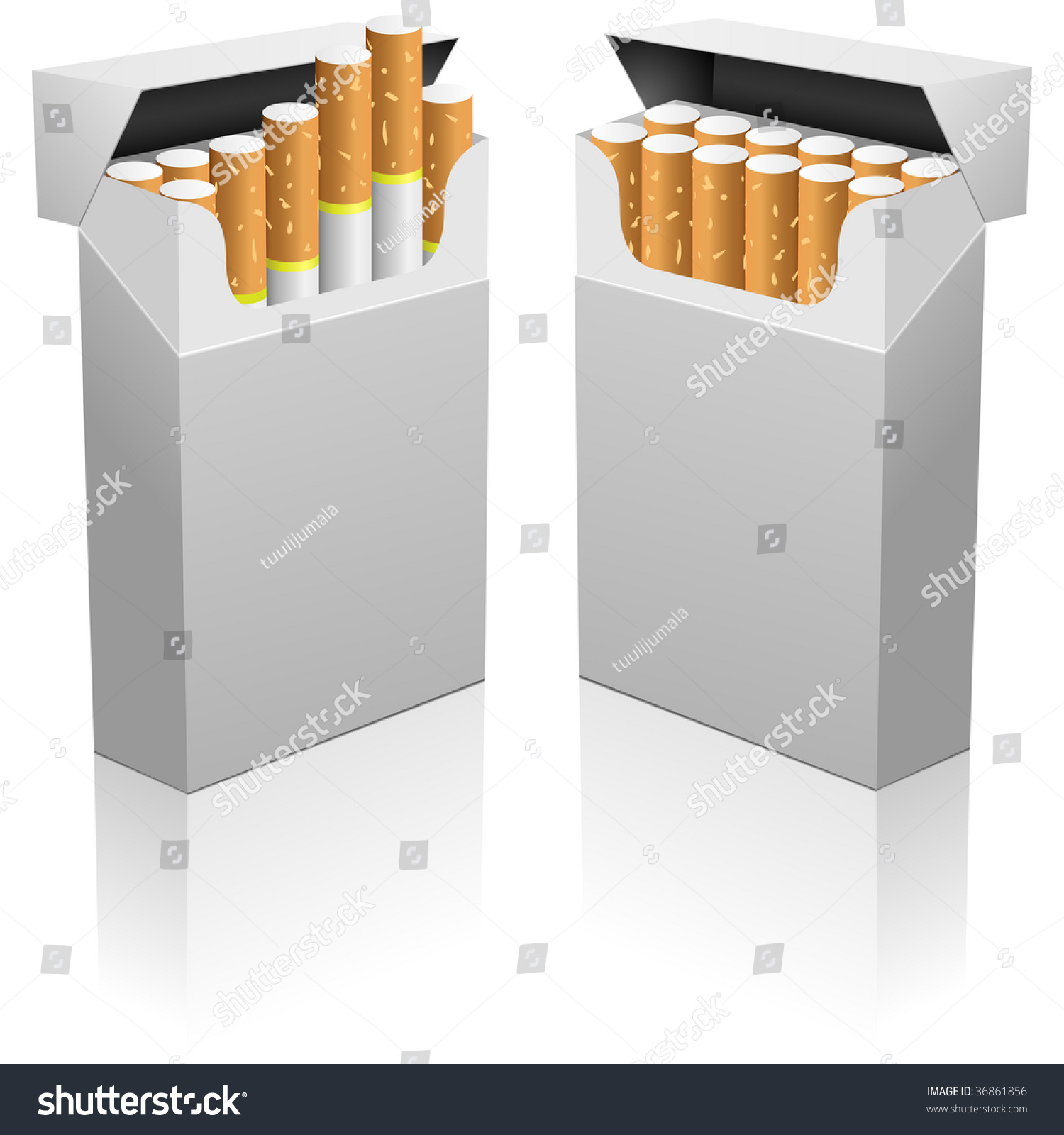 Opened Blank Realistic Cigarettes Pack Vector Stock Vector 36861856 ...