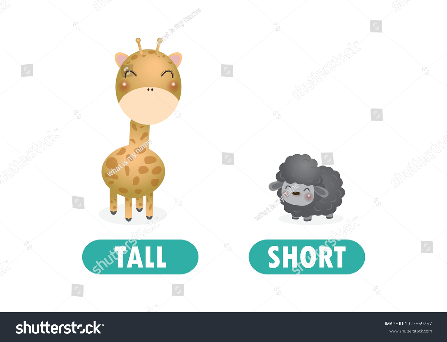 Opposite Tall Short Words Antonym Children Stock Vector (Royalty Free ...