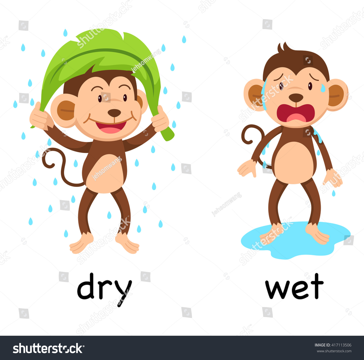 Dry wet что это