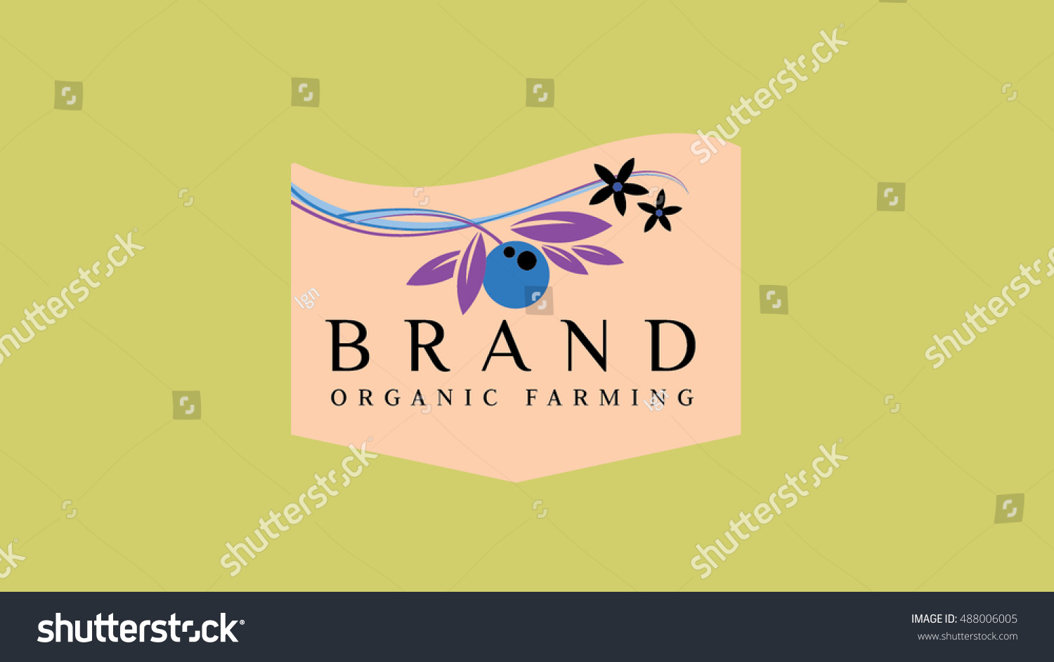 Orange Brand Vector Logo Template Oranges Stock Vector (Royalty Free