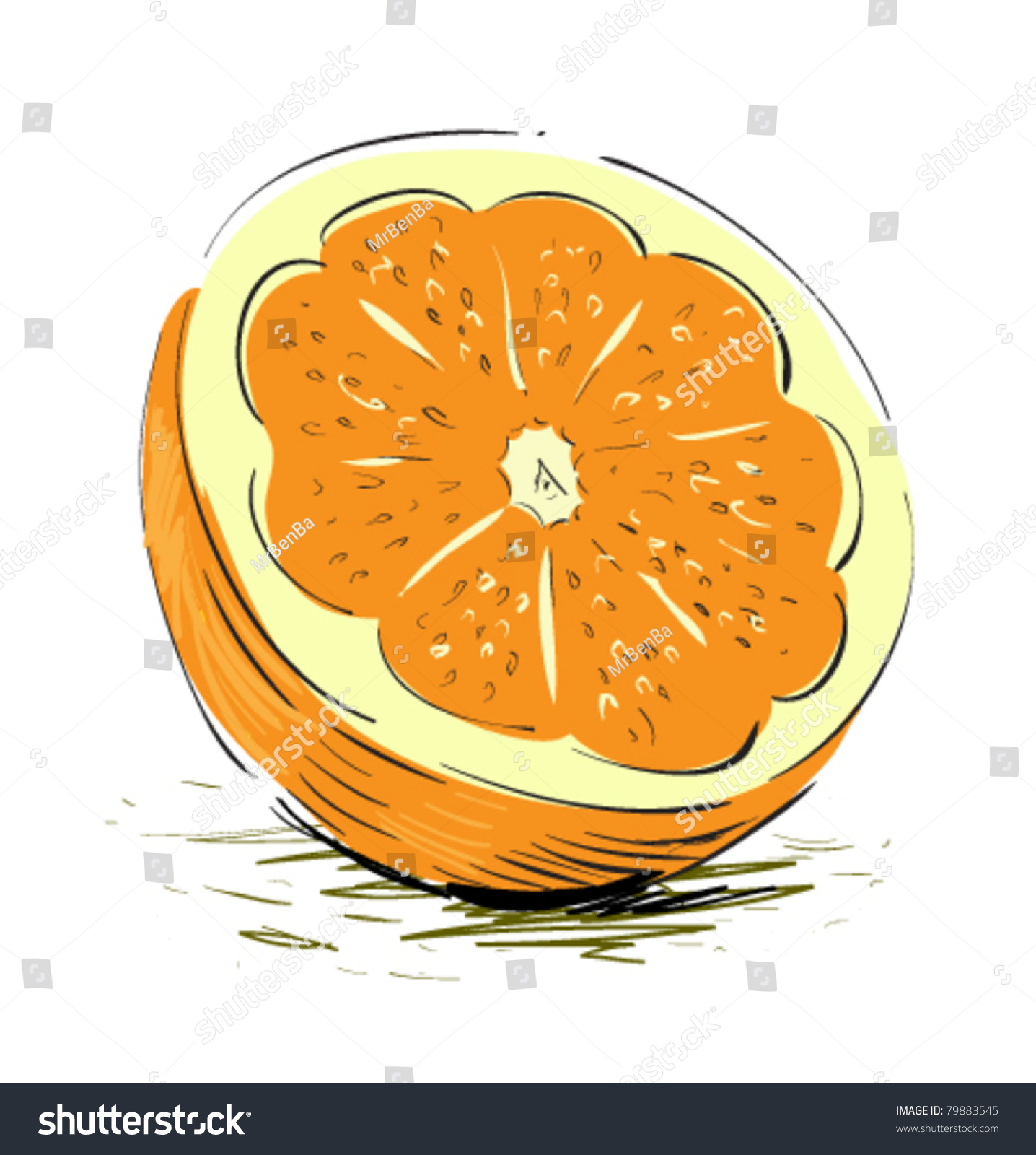 Orange Cartoon Sketch Vector Illustration Stock Vector 79883545