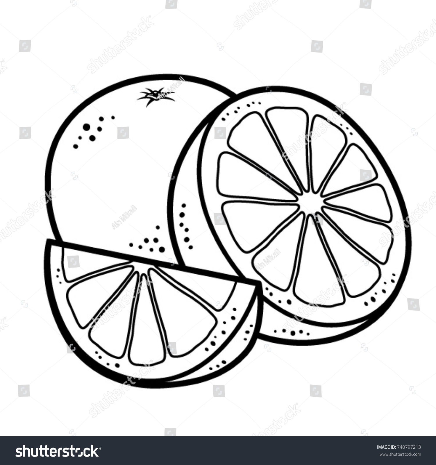 Orange Fruit Vector Black White Outlines Stock Vector Royalty Free 740797213