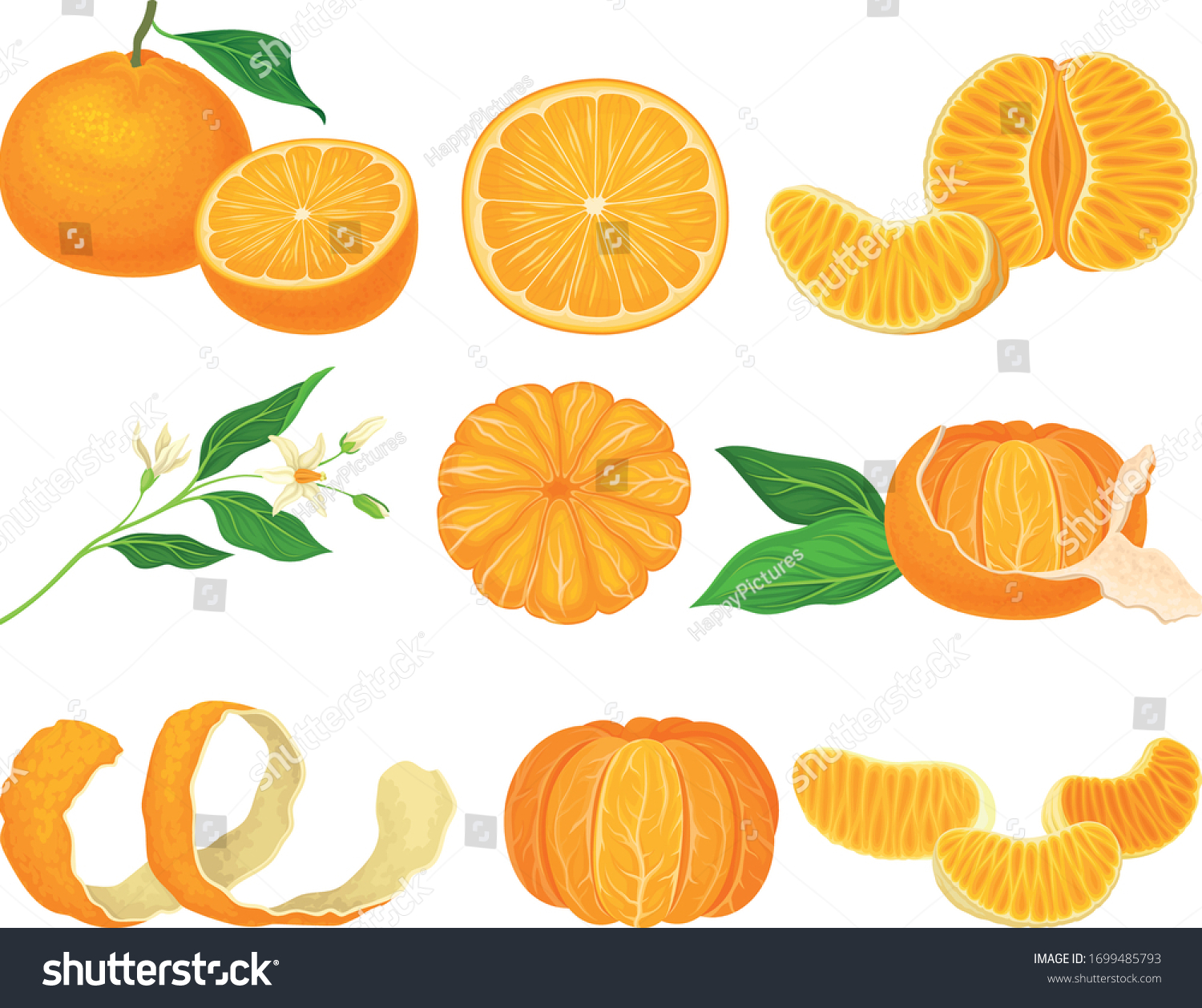 2,741 Cloves in an orange Stock Vectors, Images & Vector Art | Shutterstock