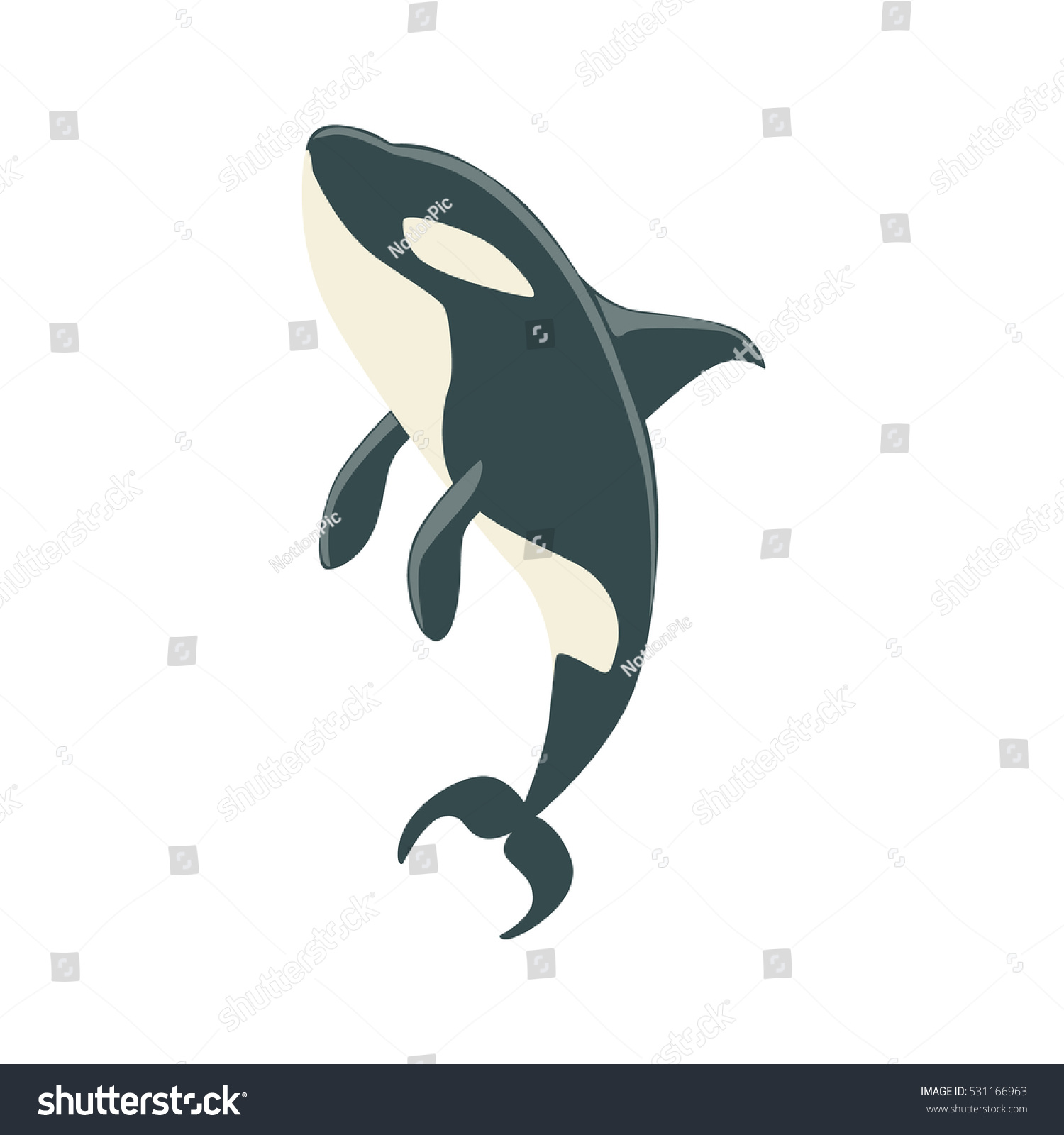 Orca Black White Arctic Killer Whale Stock Vector 531166963 - Shutterstock