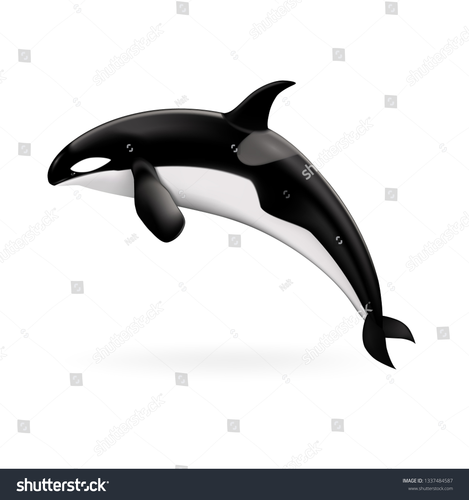 Orca Whale Icon Realistic Illustration Orca Stock Vector Royalty Free