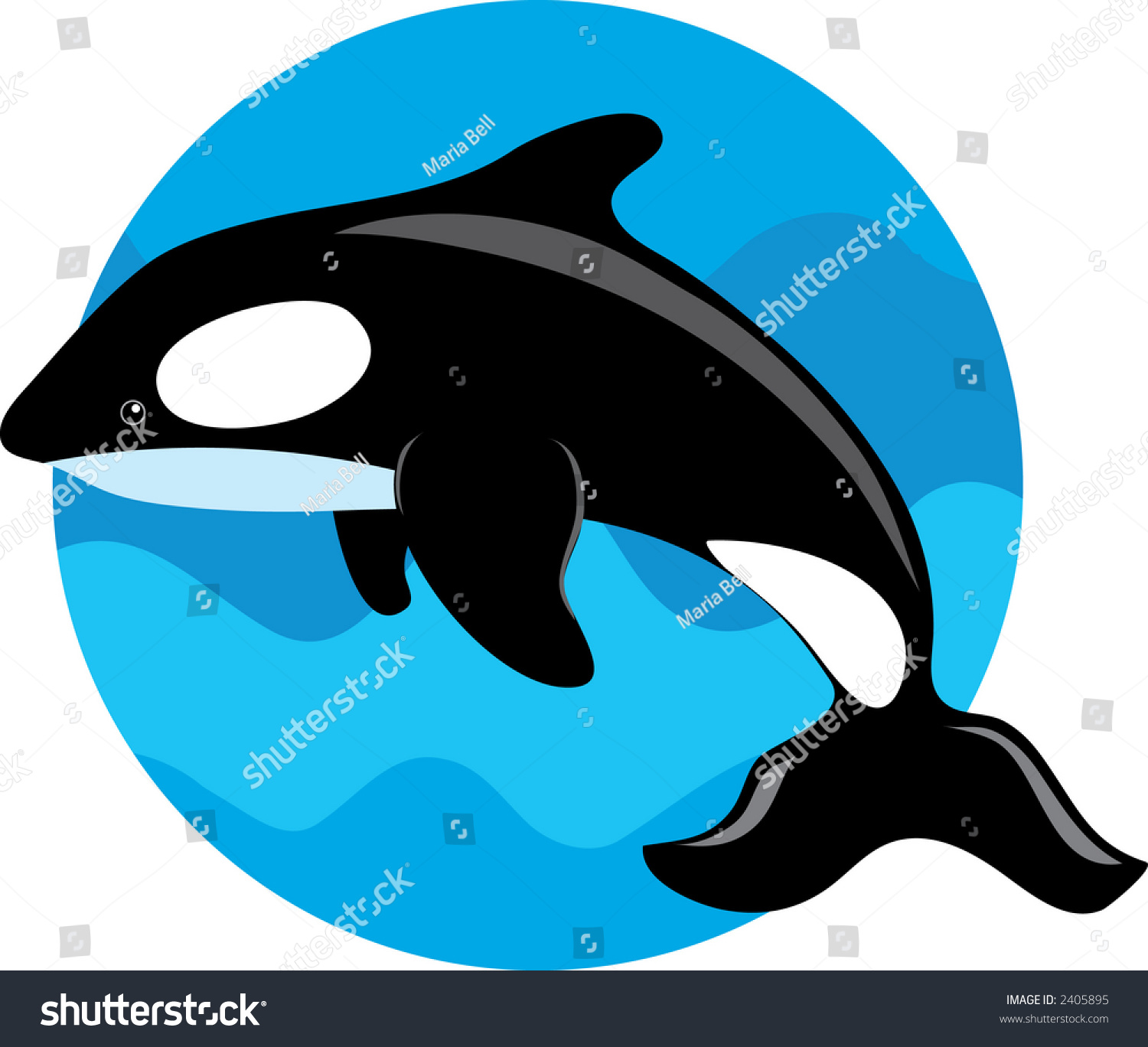 Orca Whale On Blue Circle Background Stock Vector 2405895 - Shutterstock