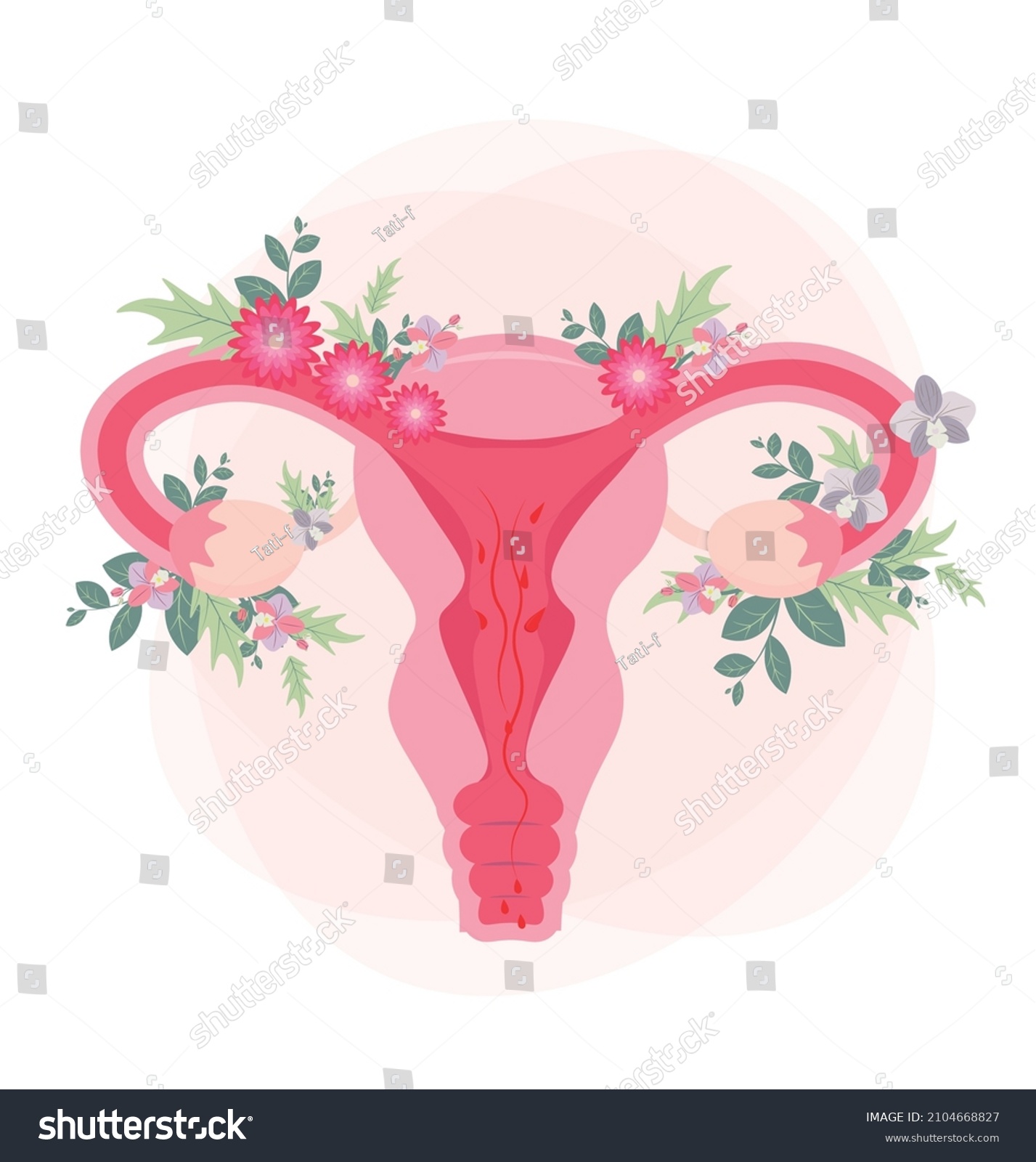 Uterus And Vagina Stock Illustrations Images Vectors Shutterstock