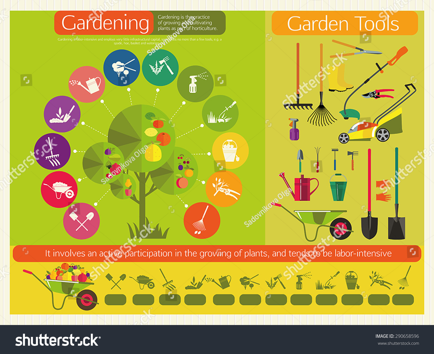 Organic Cultivation Fruit Trees Stages Planting Stock Vector Royalty Free 290658596